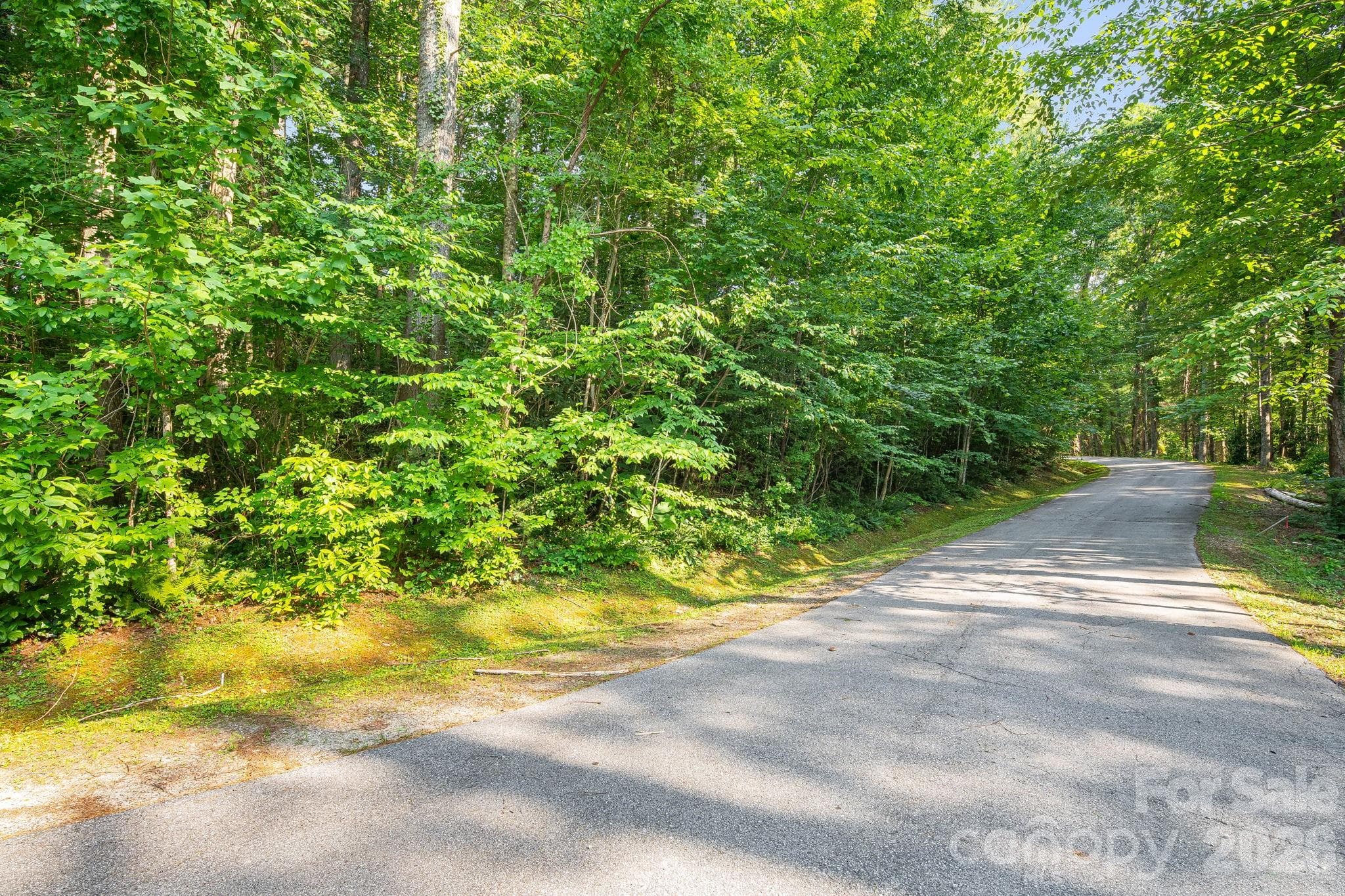 Lot at 008 Roberts Lane N, Flat Rock, photo 3 of 5