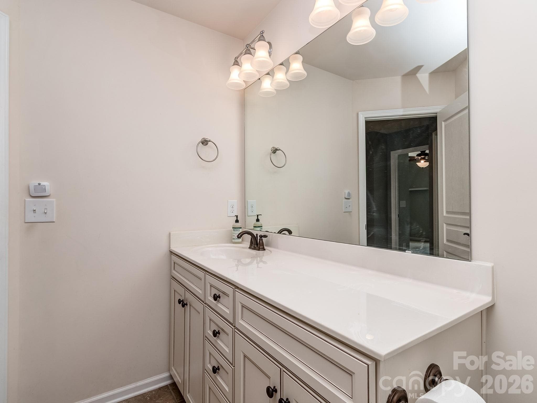 Hall Bathroom - 1839 Royal Gorge Avenue, Charlotte
