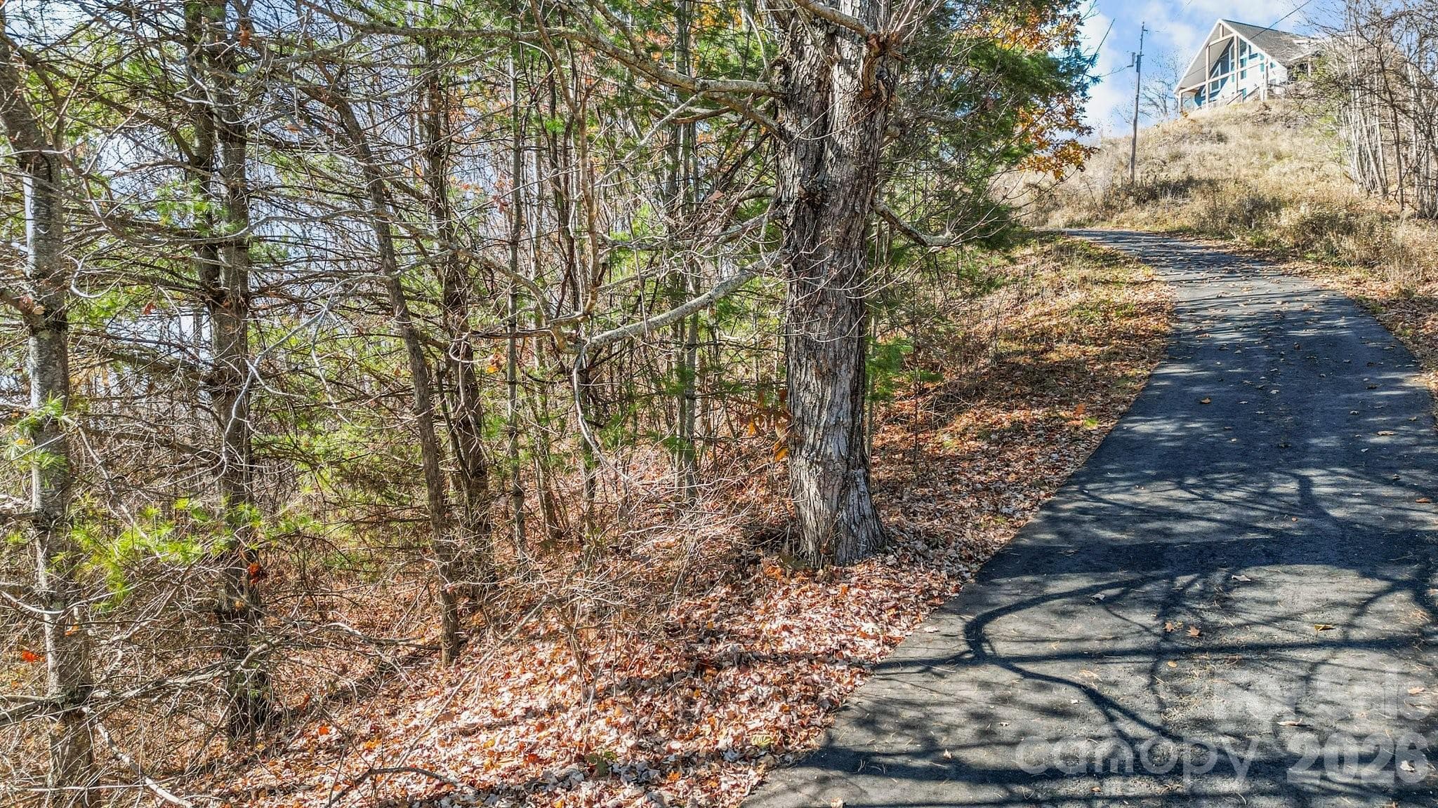 paved road. - 10 Peacock Lane, Burnsville