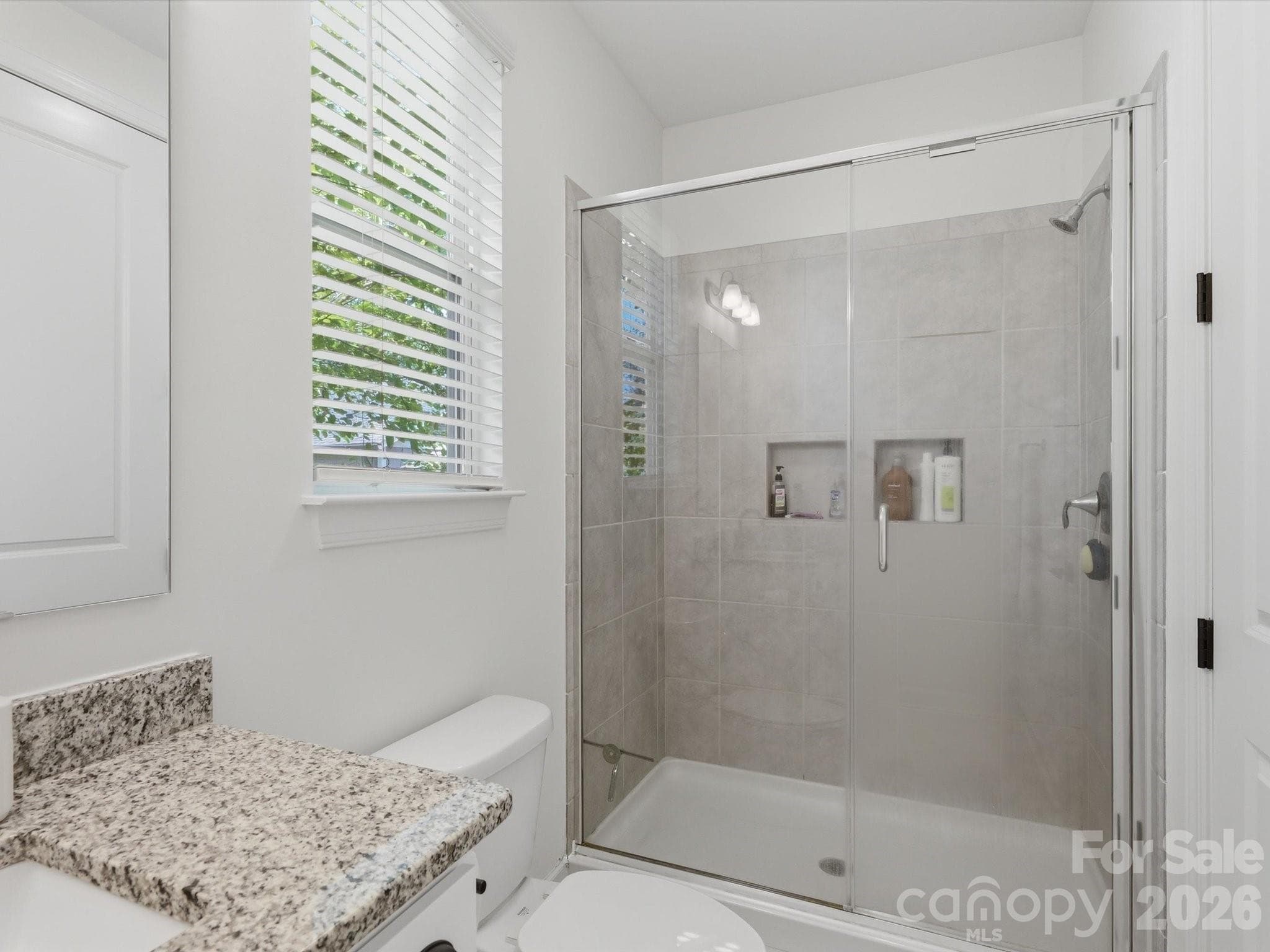 Single Family Residence at 1403 Academy Street, Charlotte, photo 27 of 41
