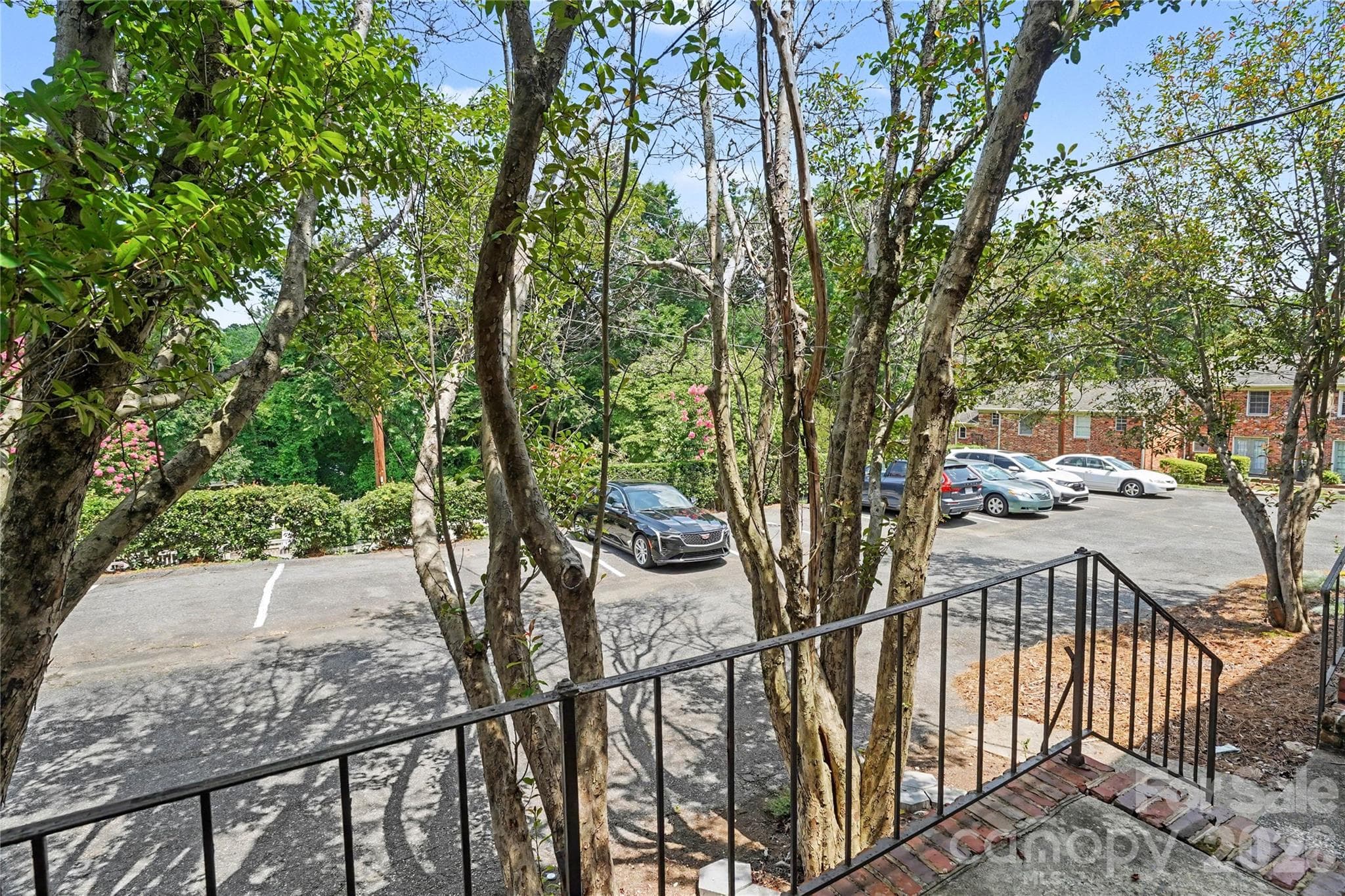 Patio View - Charlotte