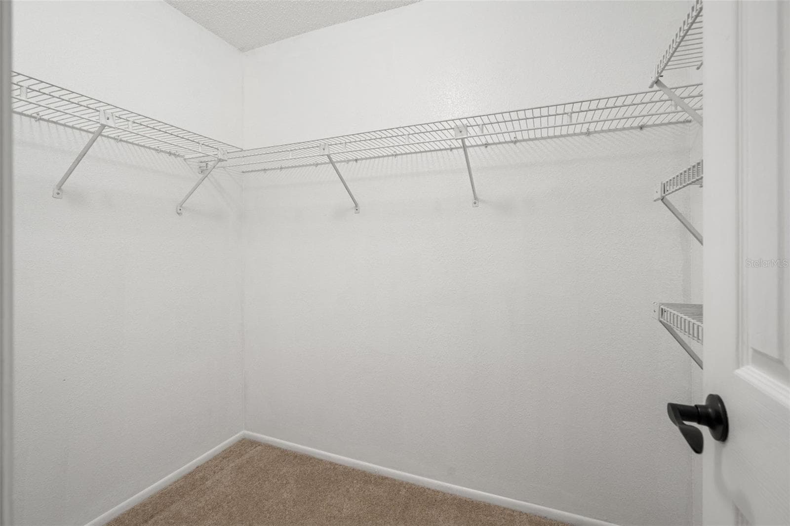 Single Family Residence at 5510 ALDERWOOD ST, SPRING HILL, photo 33 of 66