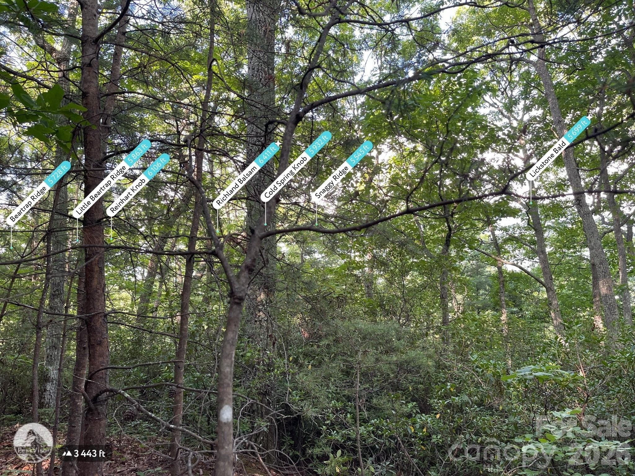 Lot at 225 Lucerne Drive, Canton, photo 5 of 37
