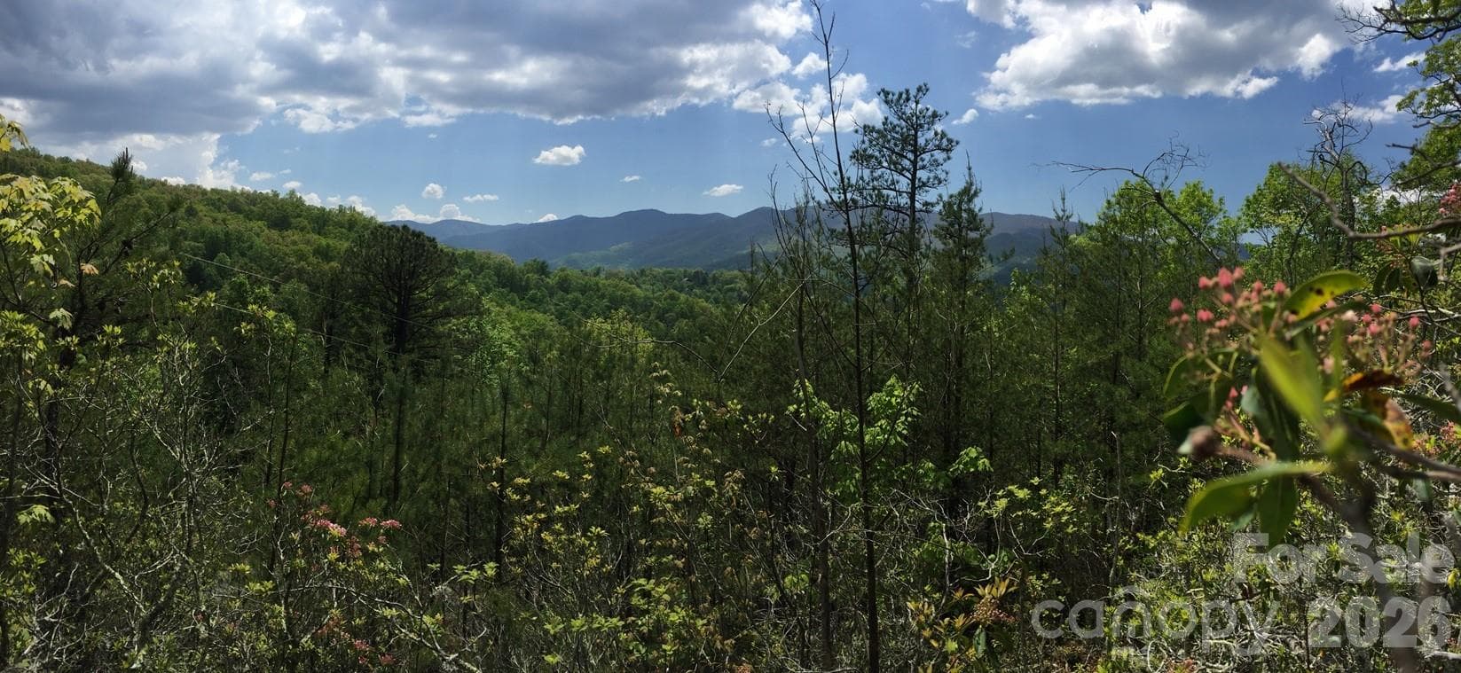Lot at 225 Lucerne Drive, Canton, photo 11 of 37