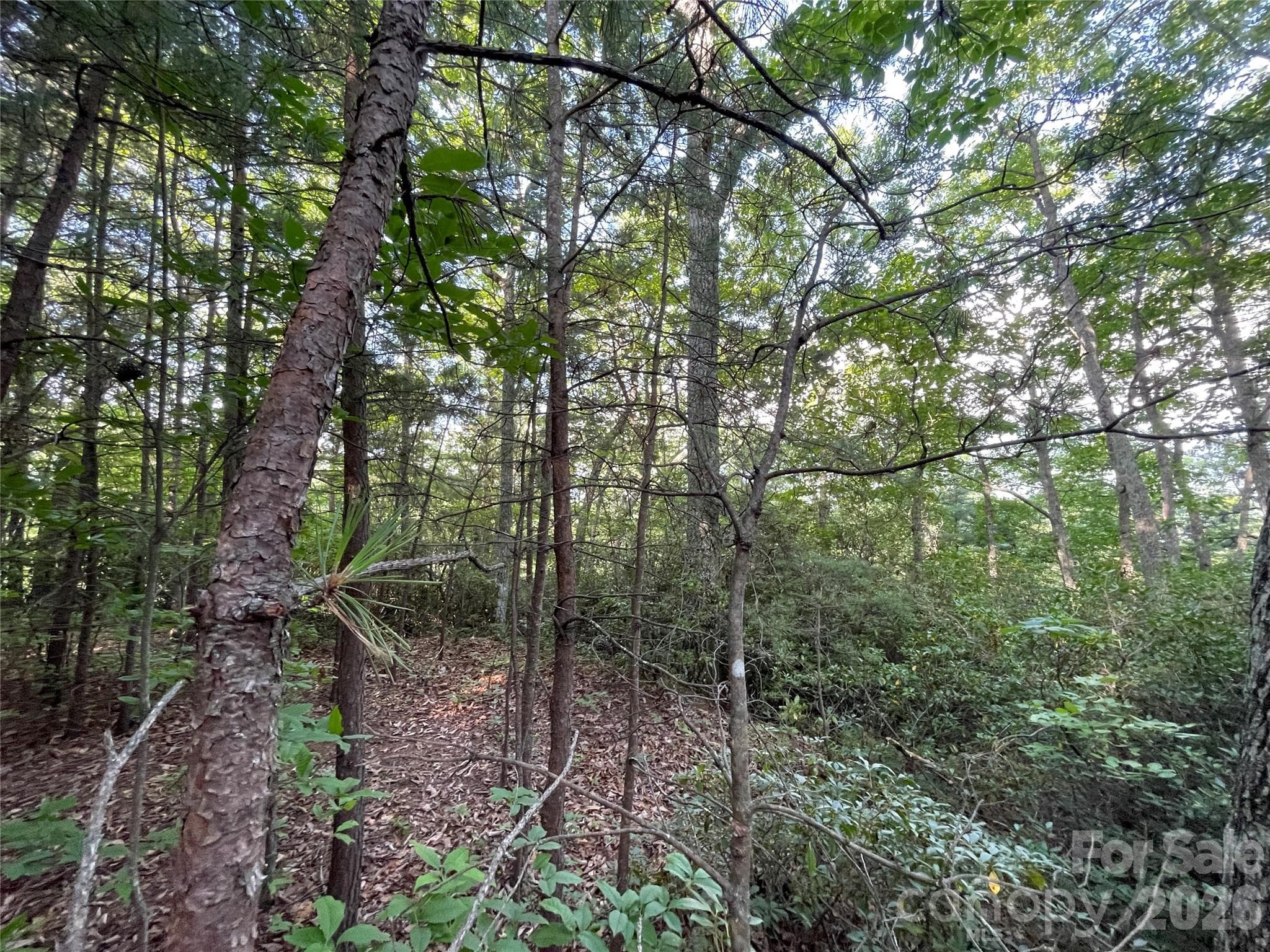 Lot at 225 Lucerne Drive, Canton, photo 18 of 37