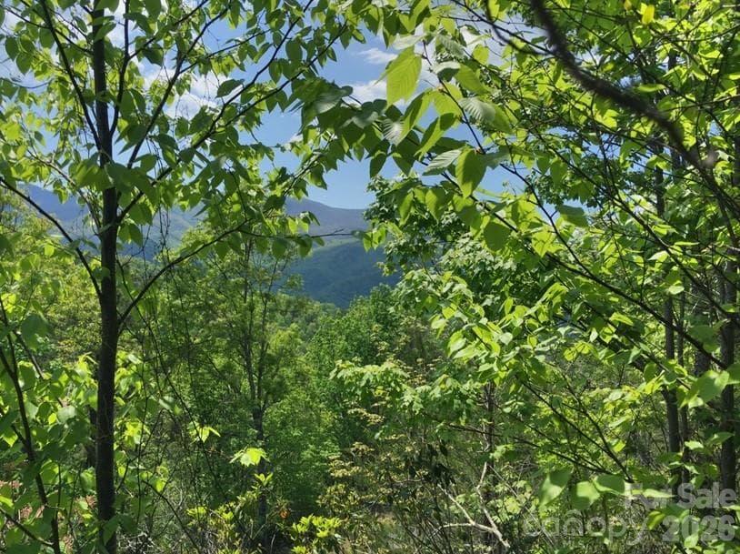 Lot at 225 Lucerne Drive, Canton, photo 24 of 37