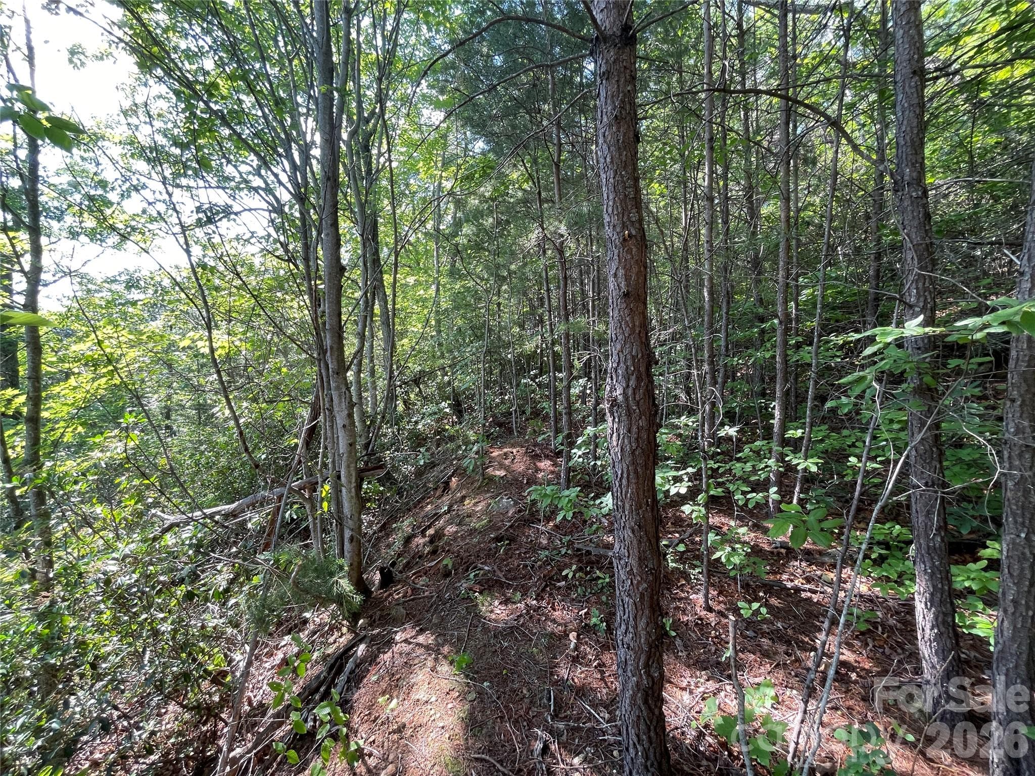 Lot at 225 Lucerne Drive, Canton, photo 32 of 37