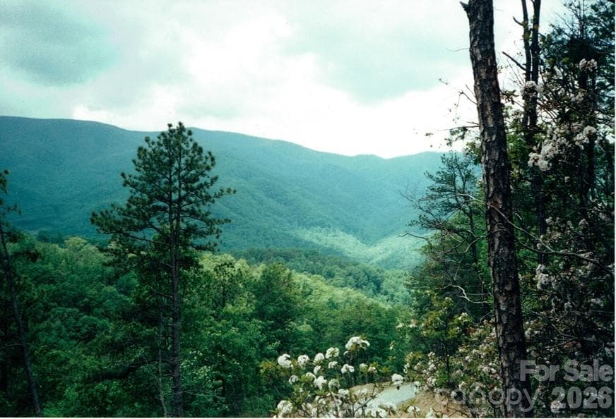 Lot at 225 Lucerne Drive, Canton, photo 35 of 37