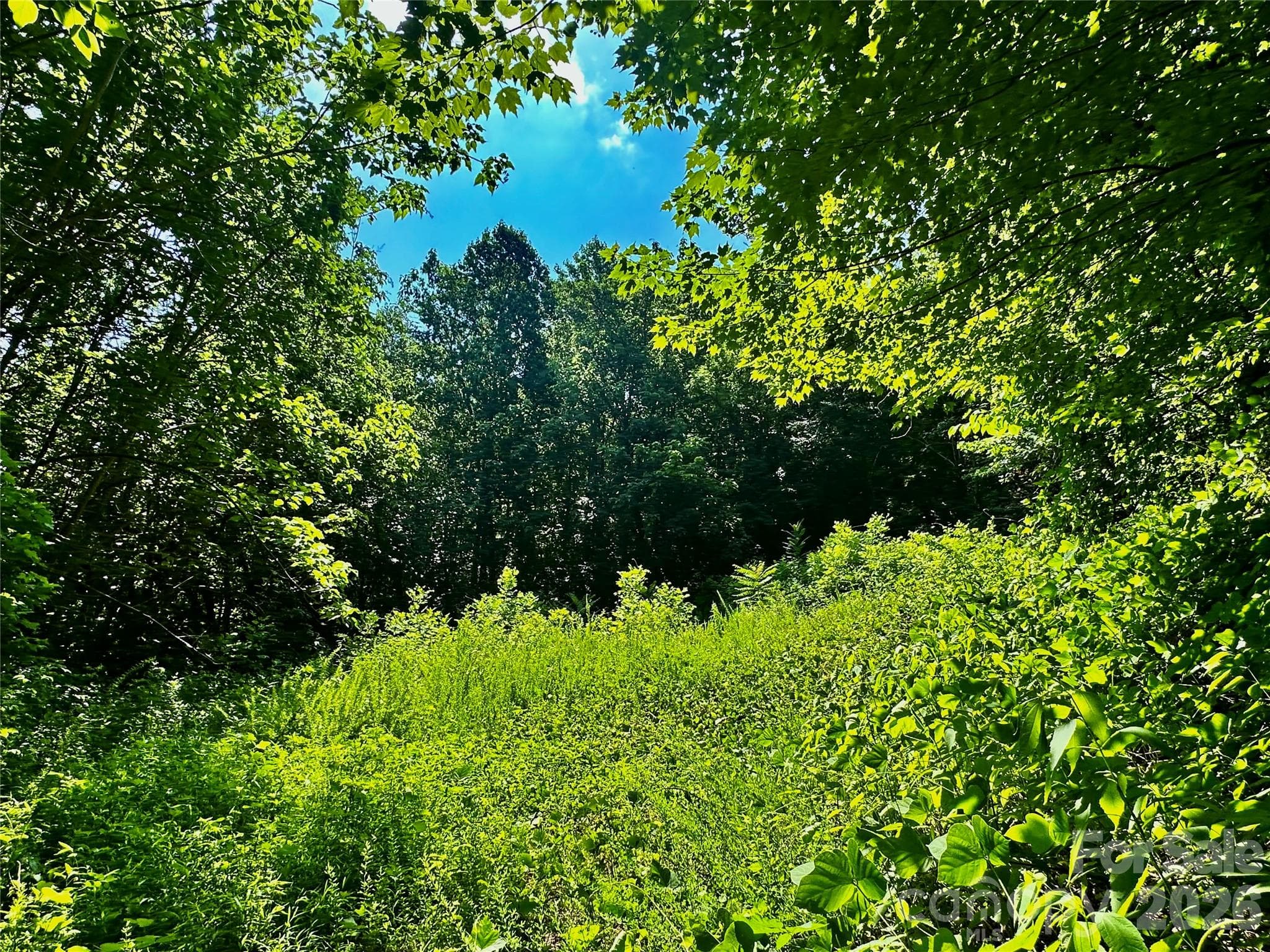 75 Fork Creek Road