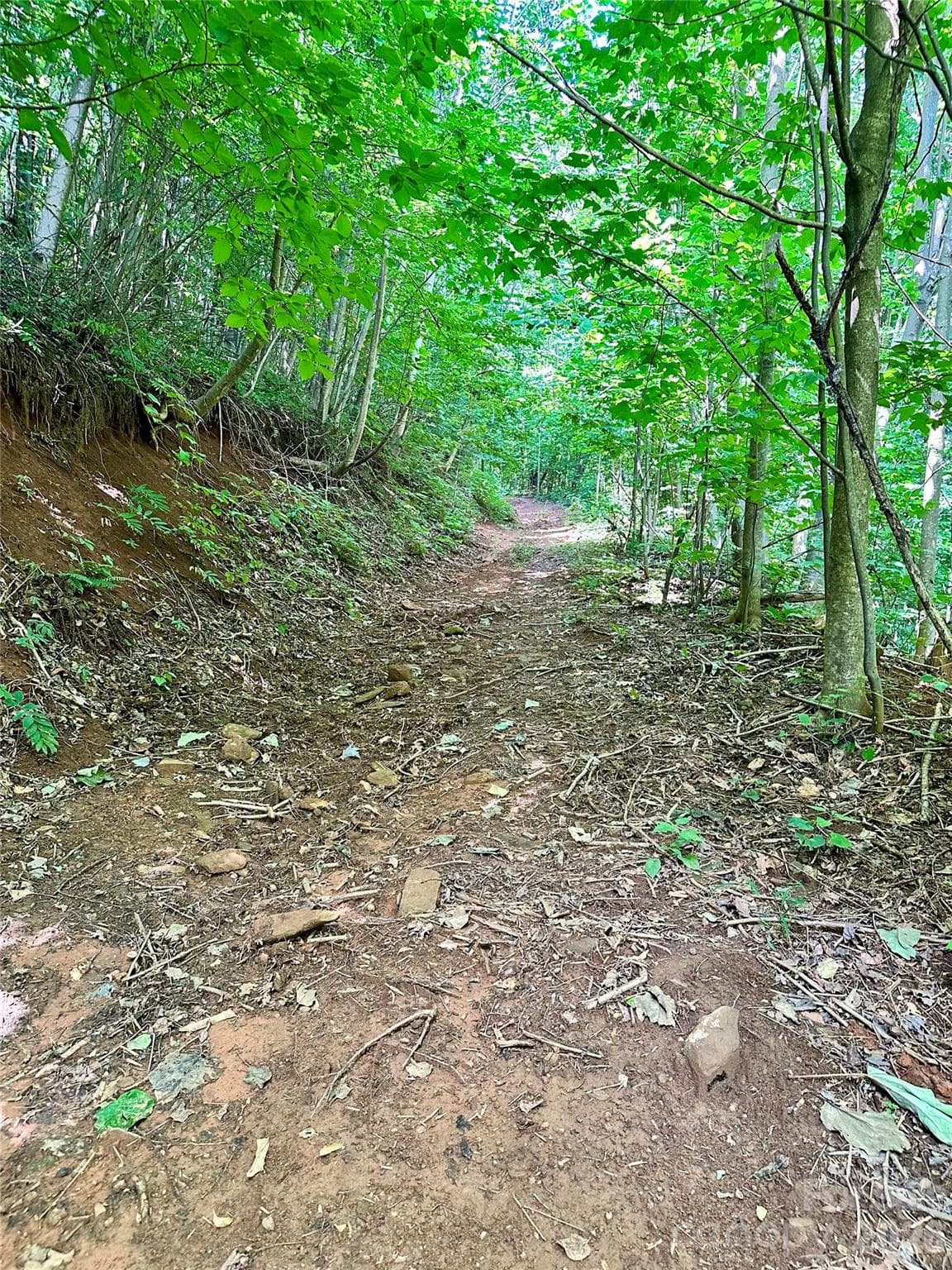 Acreage at 75 Fork Creek Road, Saluda, photo 2 of 26