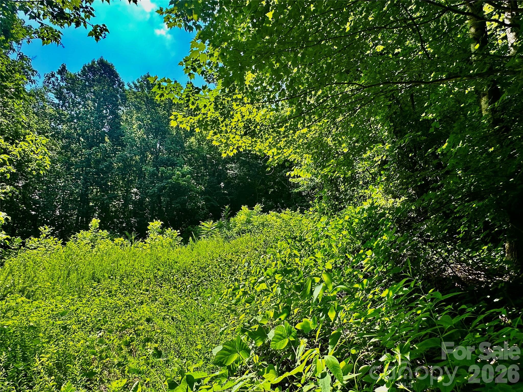 Acreage at 75 Fork Creek Road, Saluda, photo 4 of 26