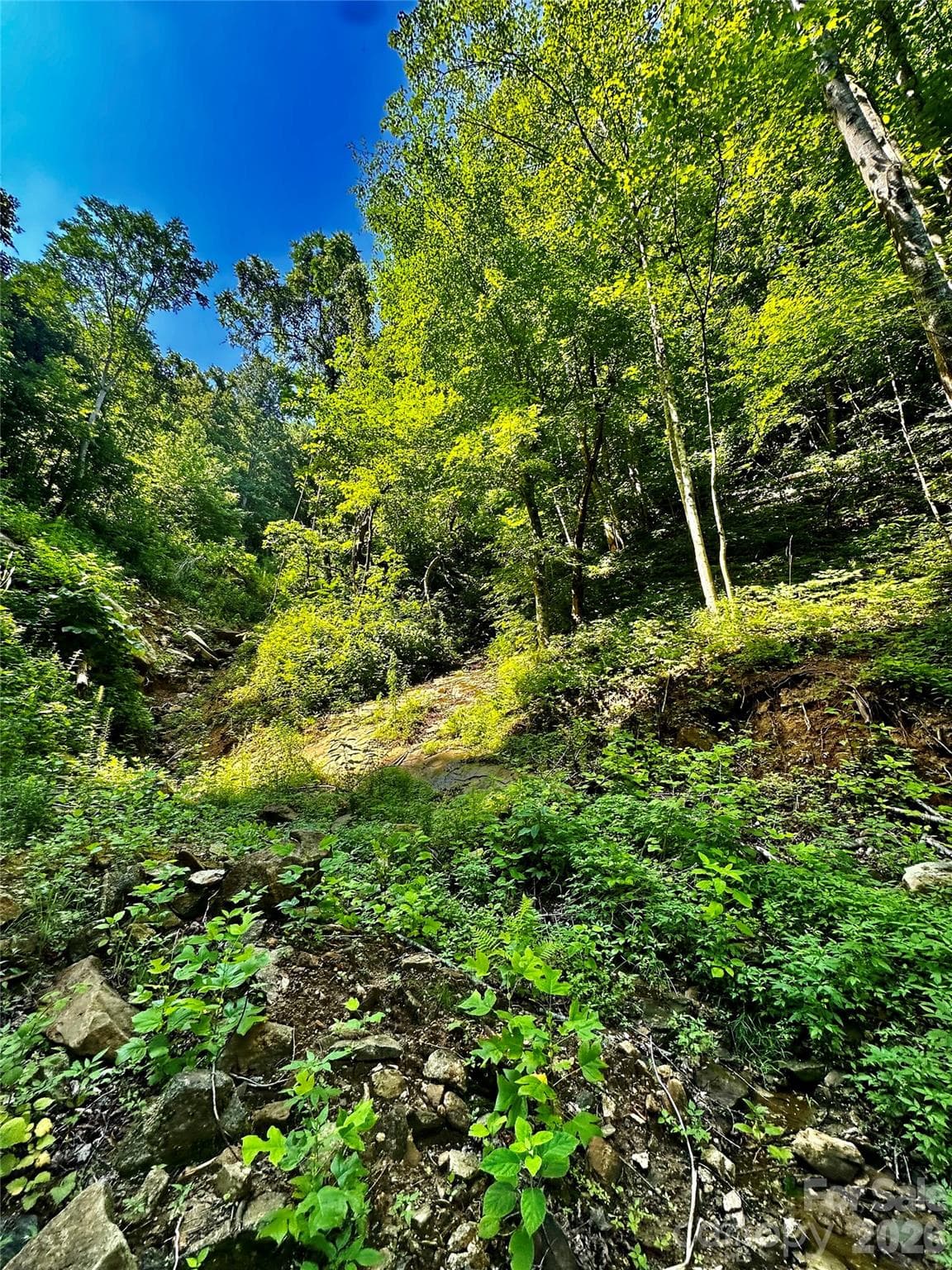 Acreage at 75 Fork Creek Road, Saluda, photo 12 of 26