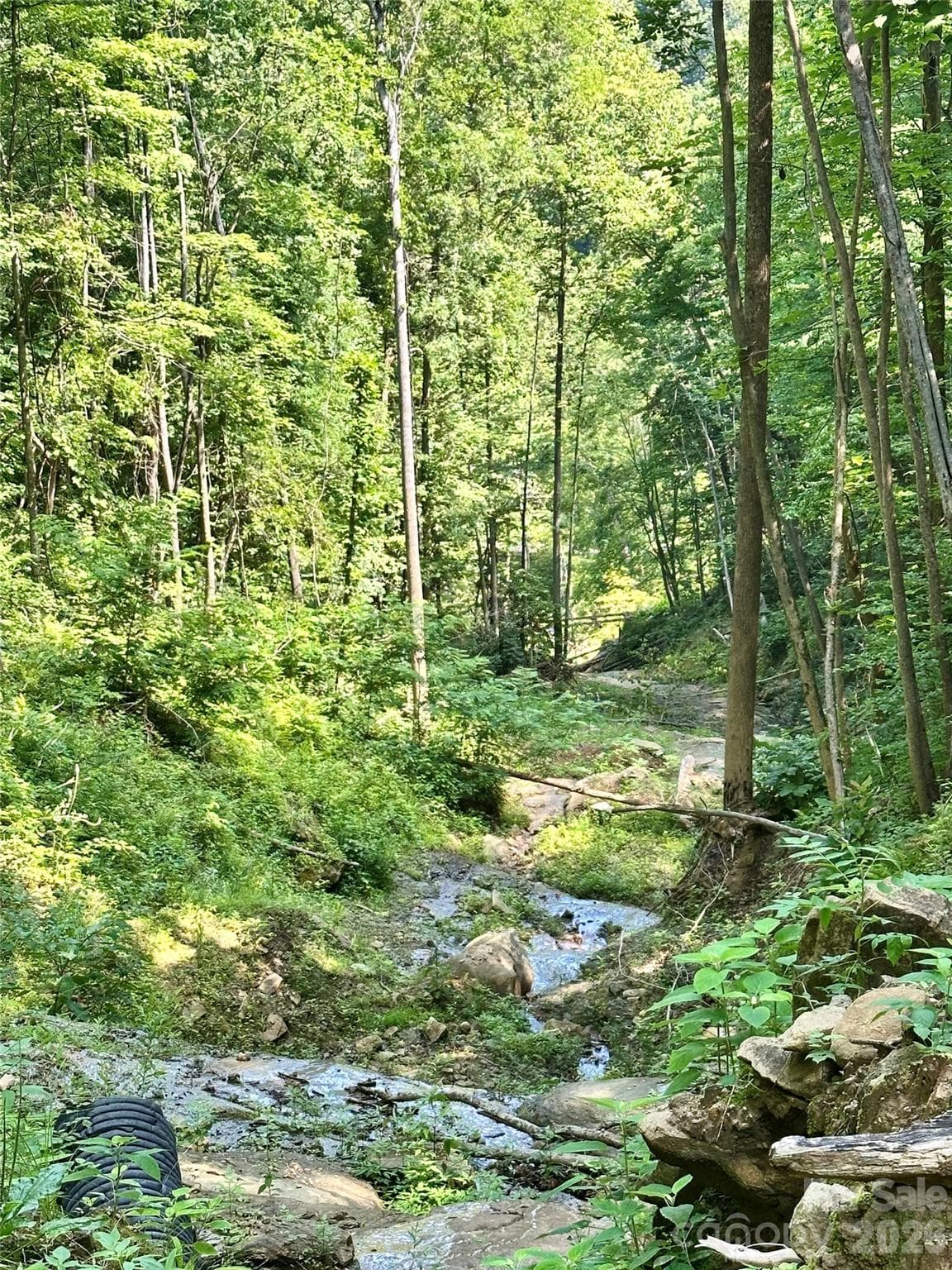 Acreage at 75 Fork Creek Road, Saluda, photo 13 of 26