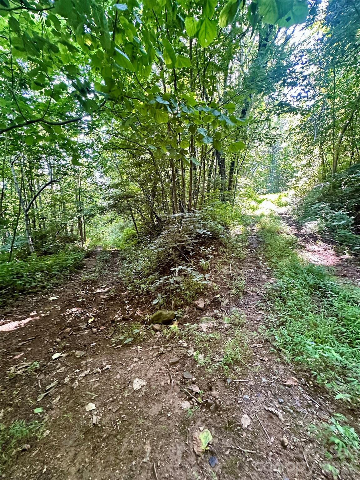 Acreage at 75 Fork Creek Road, Saluda, photo 15 of 26