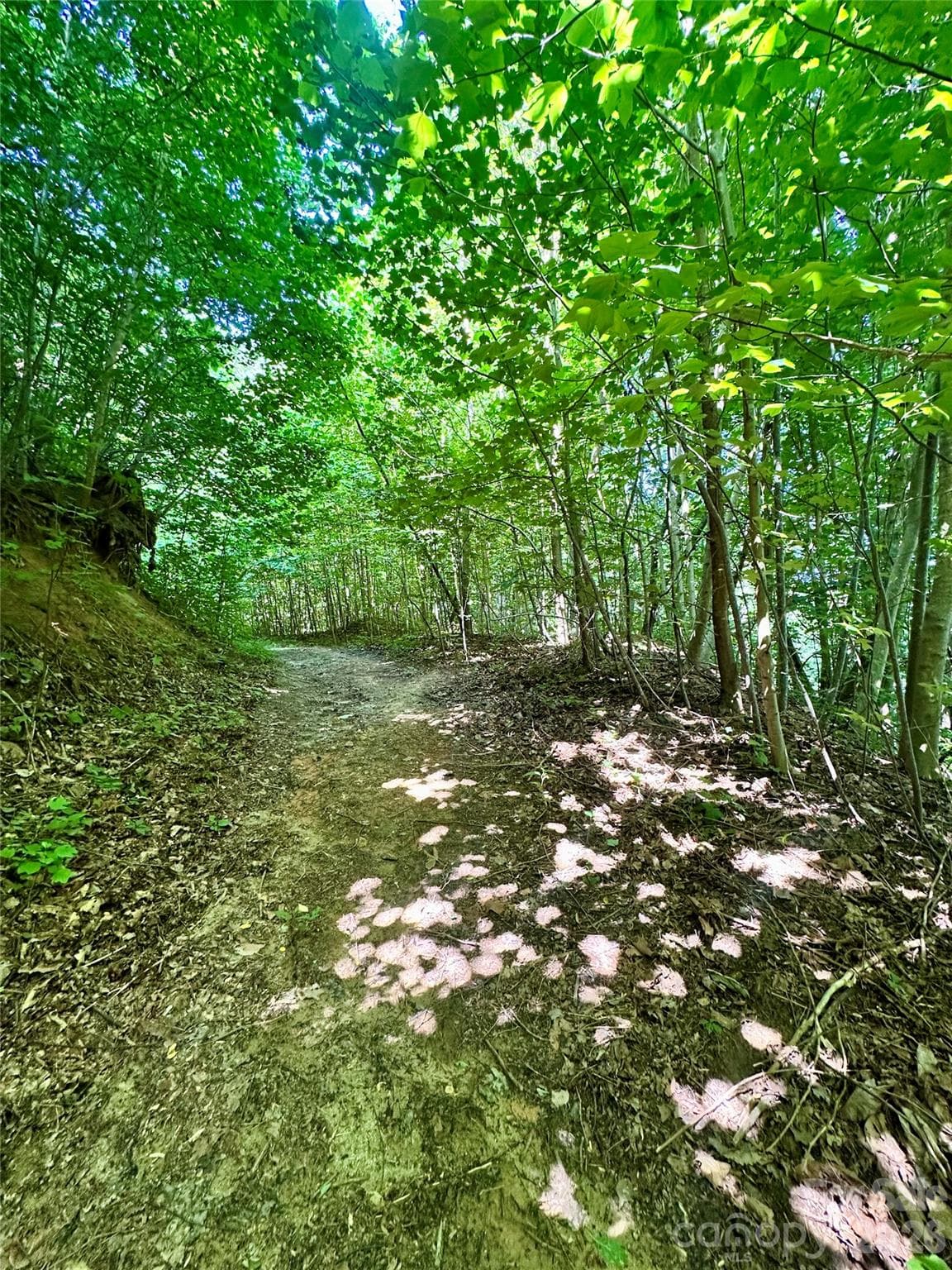 Acreage at 75 Fork Creek Road, Saluda, photo 17 of 26