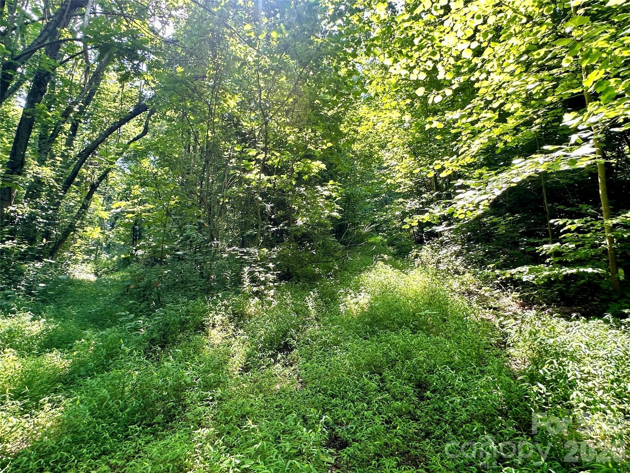 Acreage at 75 Fork Creek Road, Saluda, photo 20 of 26