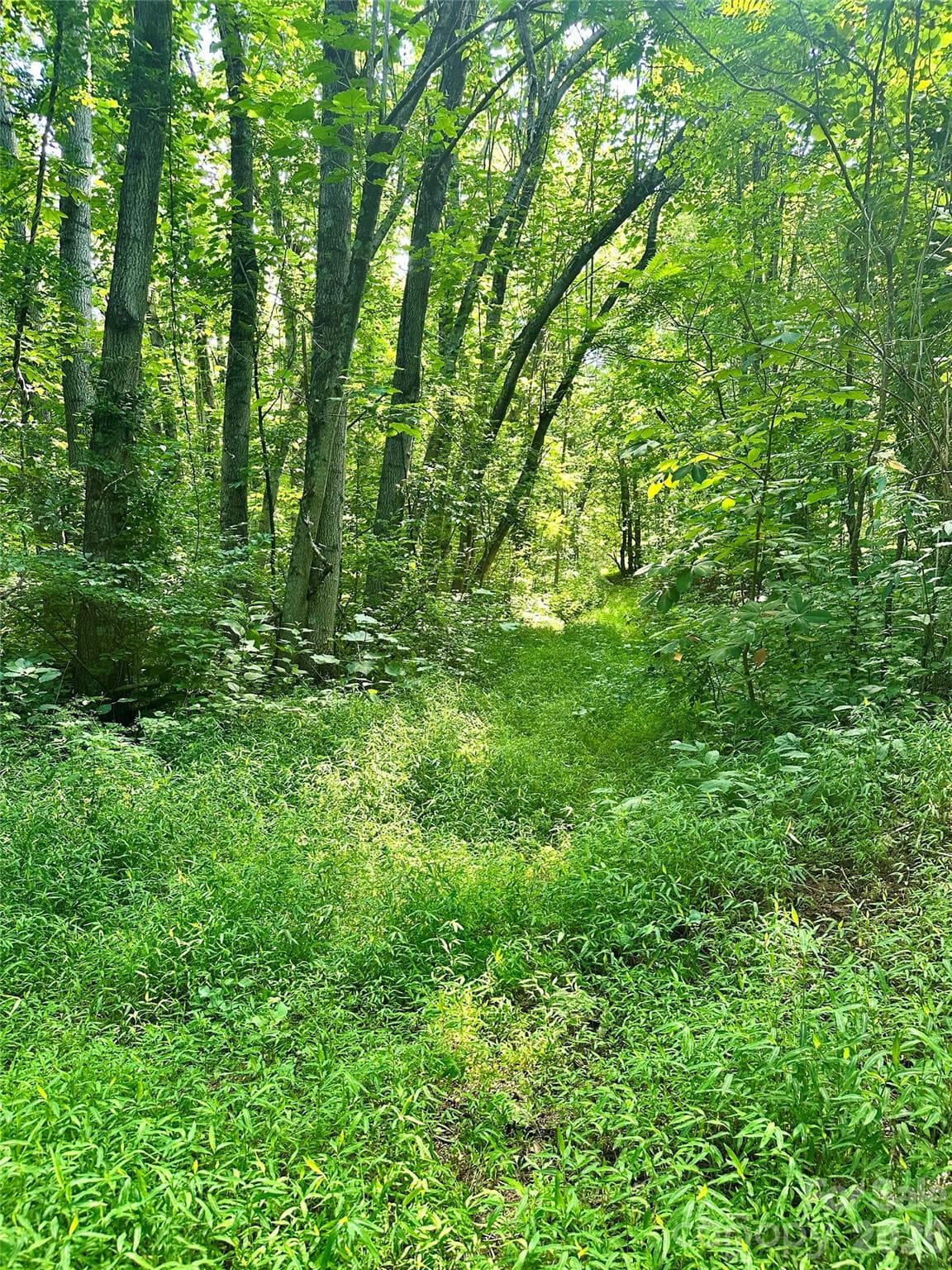 Acreage at 75 Fork Creek Road, Saluda, photo 21 of 26
