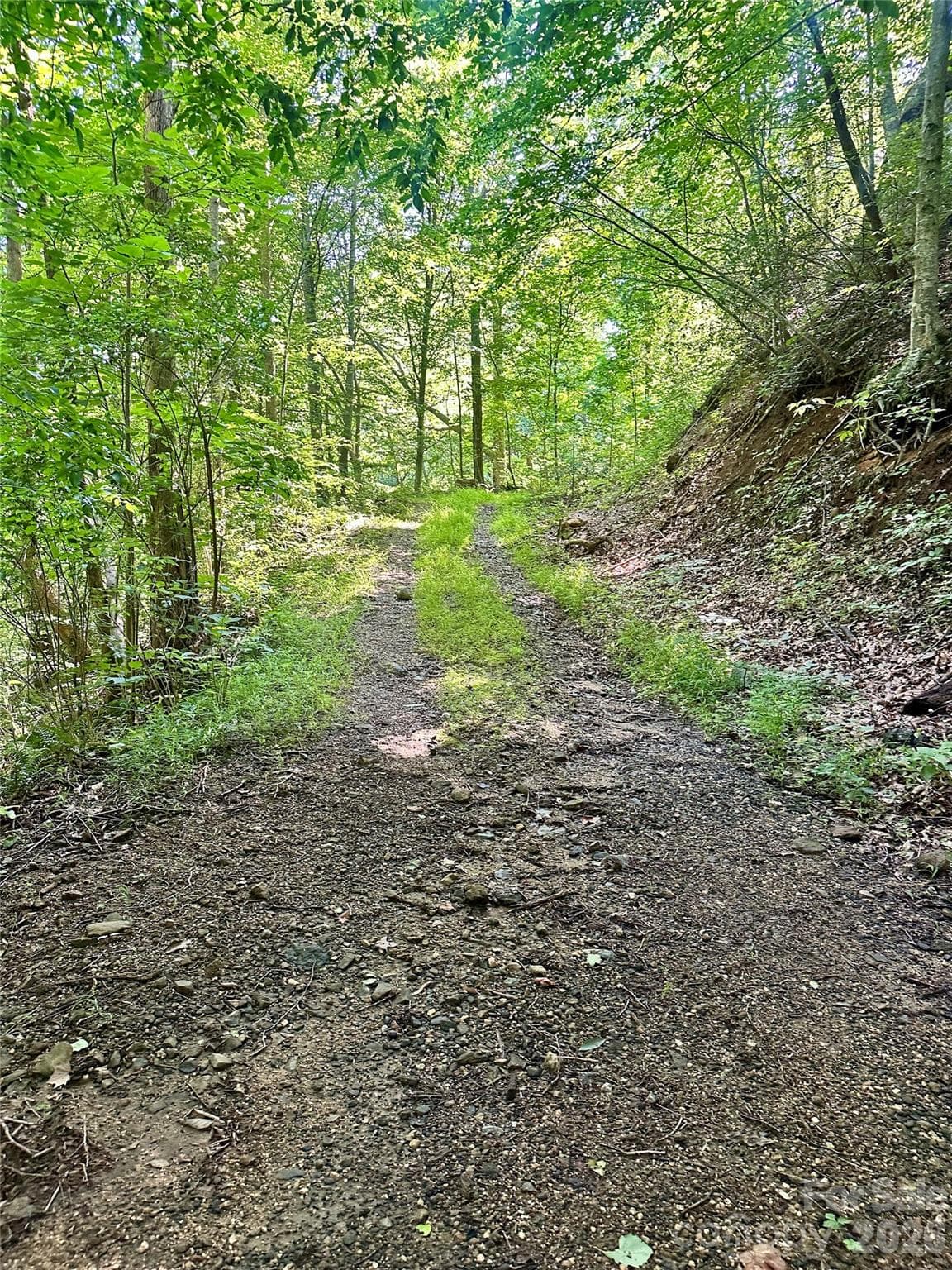 Acreage at 75 Fork Creek Road, Saluda, photo 22 of 26