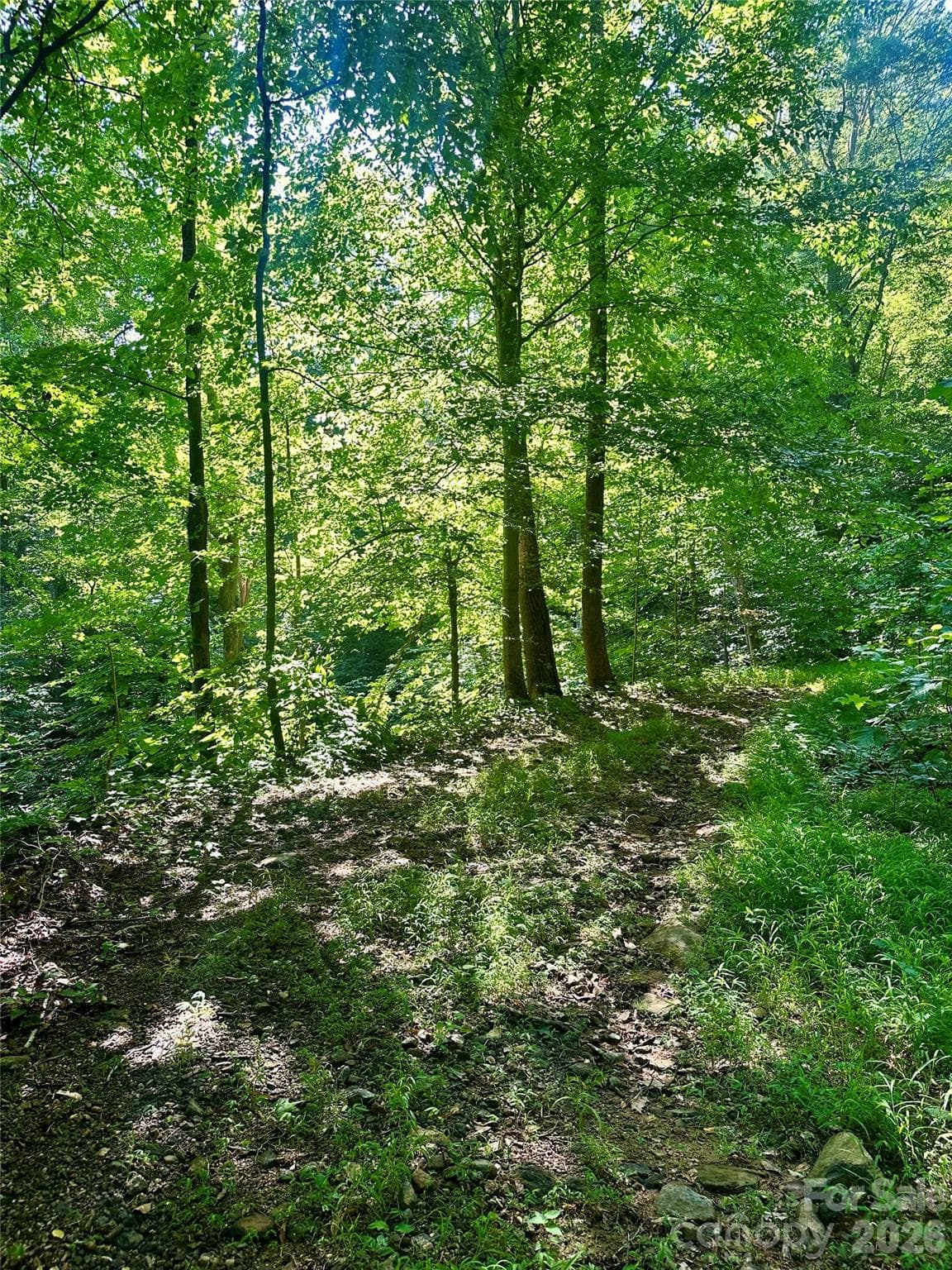 Acreage at 75 Fork Creek Road, Saluda, photo 25 of 26