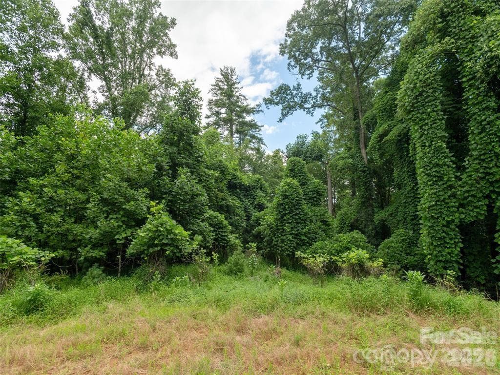 This spacious wooded lot is located in a cul-de-sac, offering a private and serene setting. Utilities are available at the cul-de-sac for convenient access for building. - Hendersonville