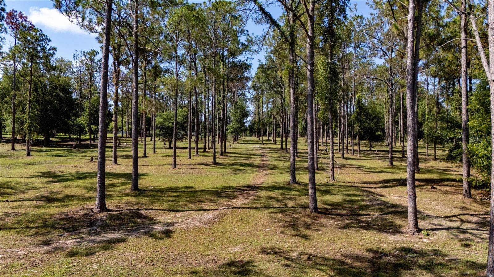 Land at 0 REED RD, DADE CITY, photo 17 of 19