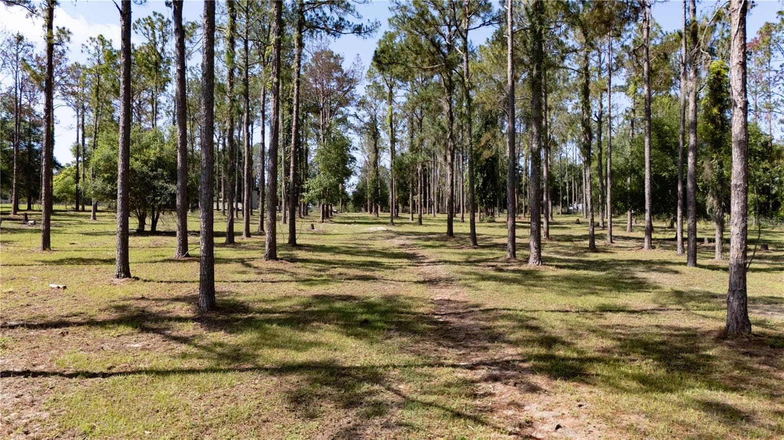 Land at 0 REED RD, DADE CITY, photo 18 of 19