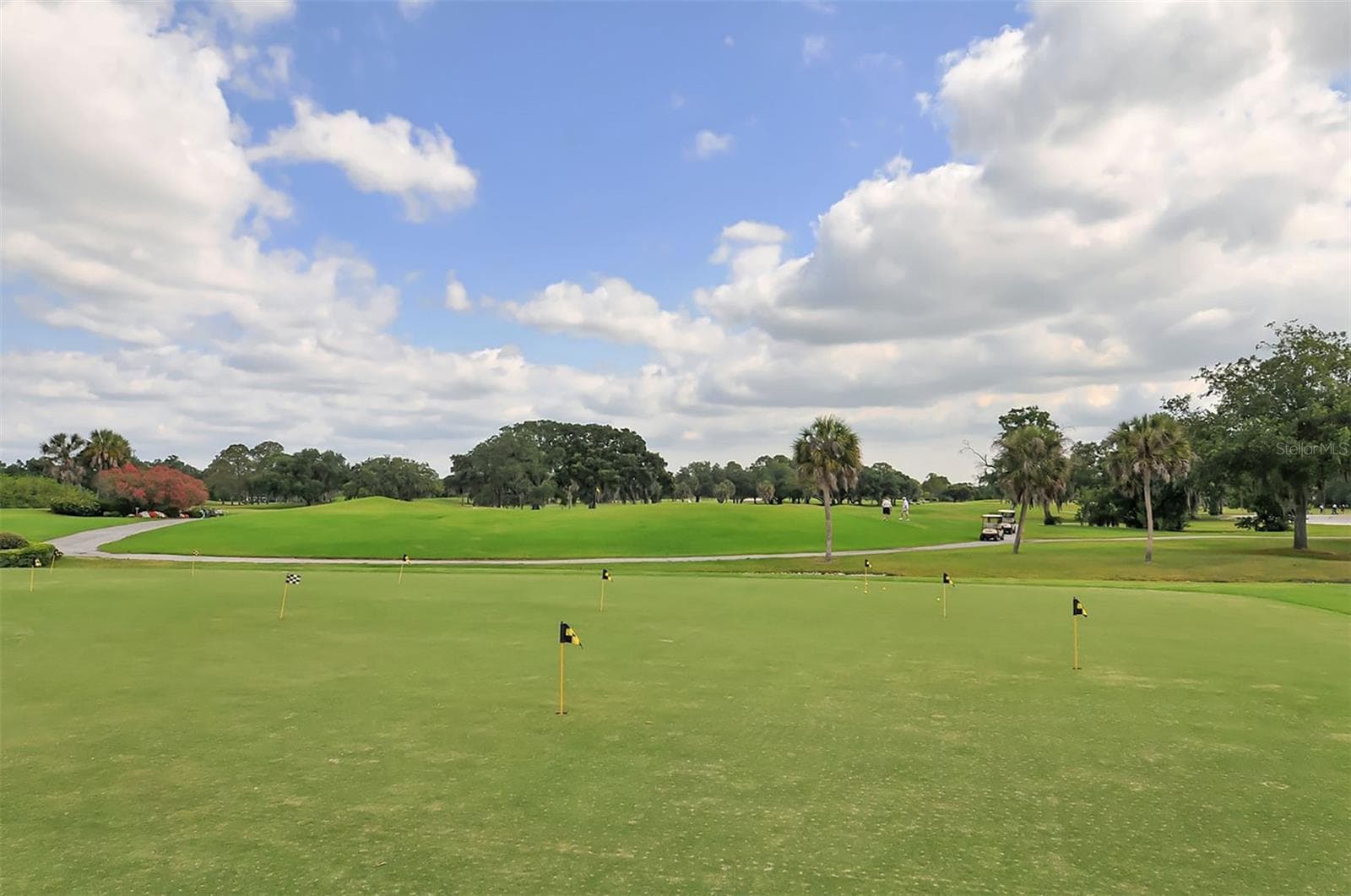 Open spaces - 4360 BRANDYWINE DR, SARASOTA