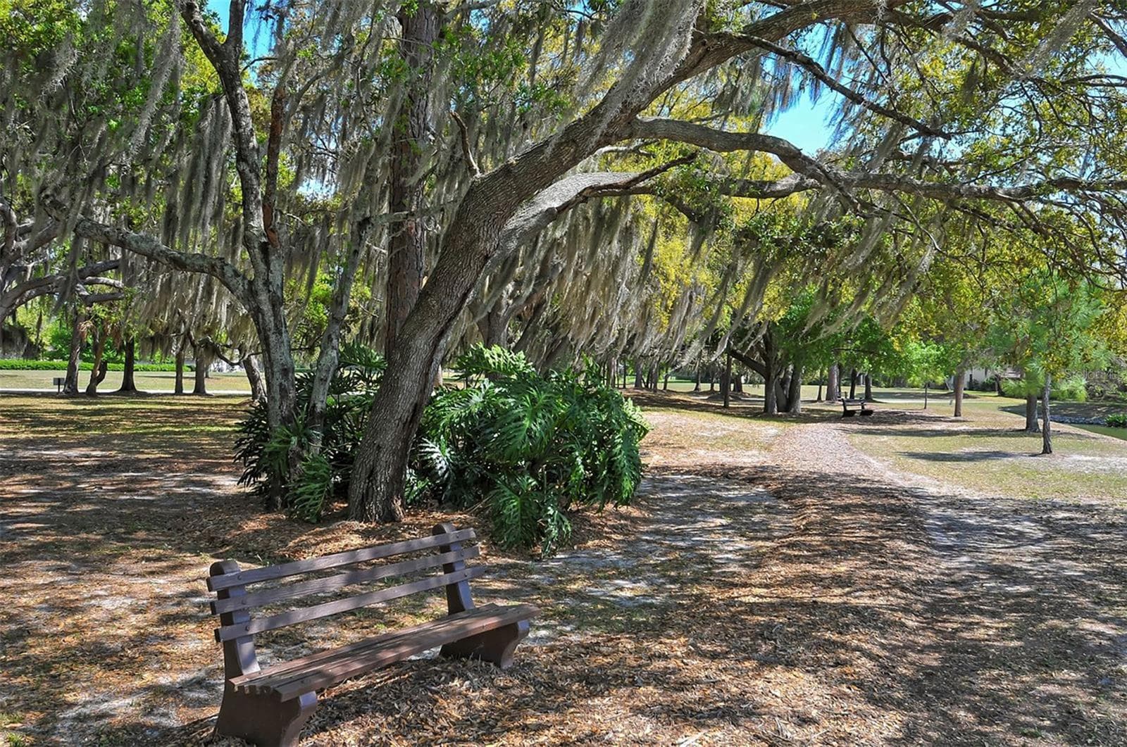 Come preview this amazing home! - 4360 BRANDYWINE DR, SARASOTA