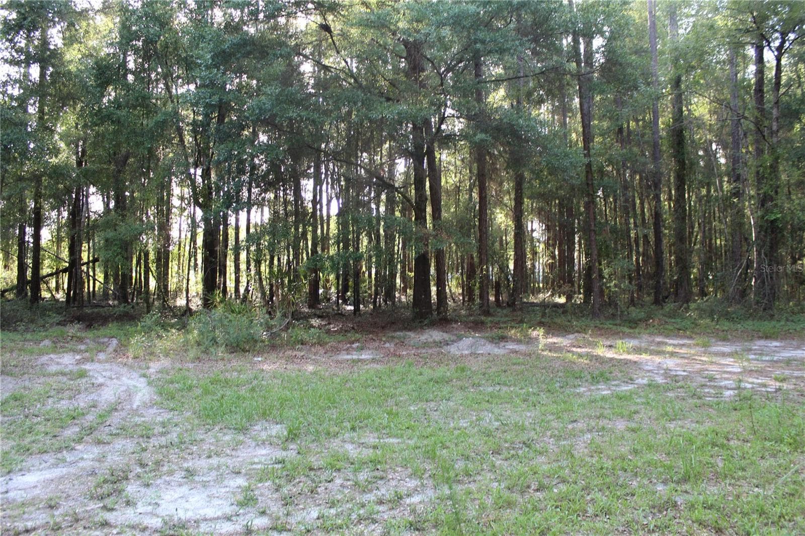 Land at 15821 SW 50TH AVE, ARCHER, photo 6 of 22