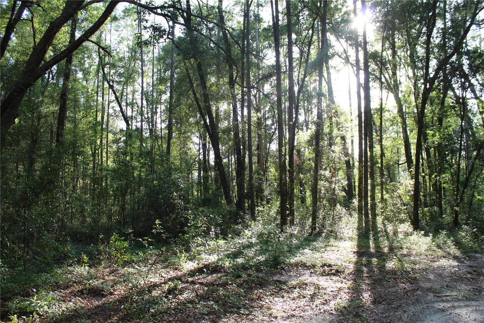 Land at 15821 SW 50TH AVE, ARCHER, photo 11 of 22