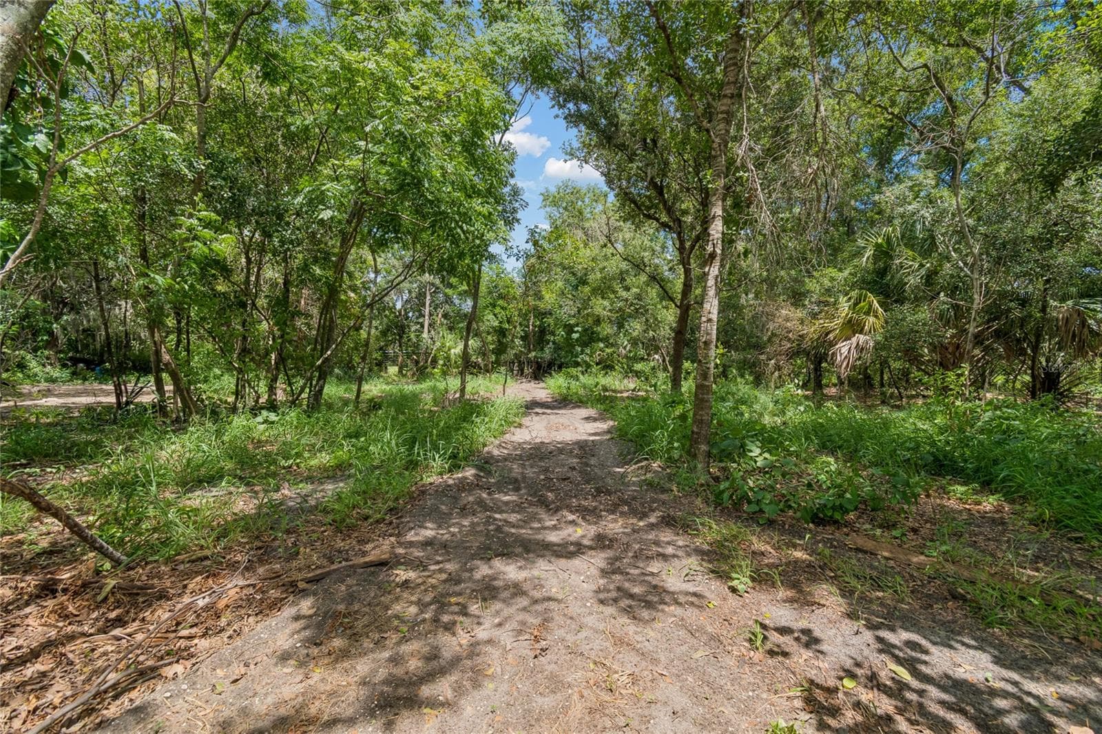 Single Family Residence at 15628 CARLTON LAKE RD, WIMAUMA, photo 23 of 81