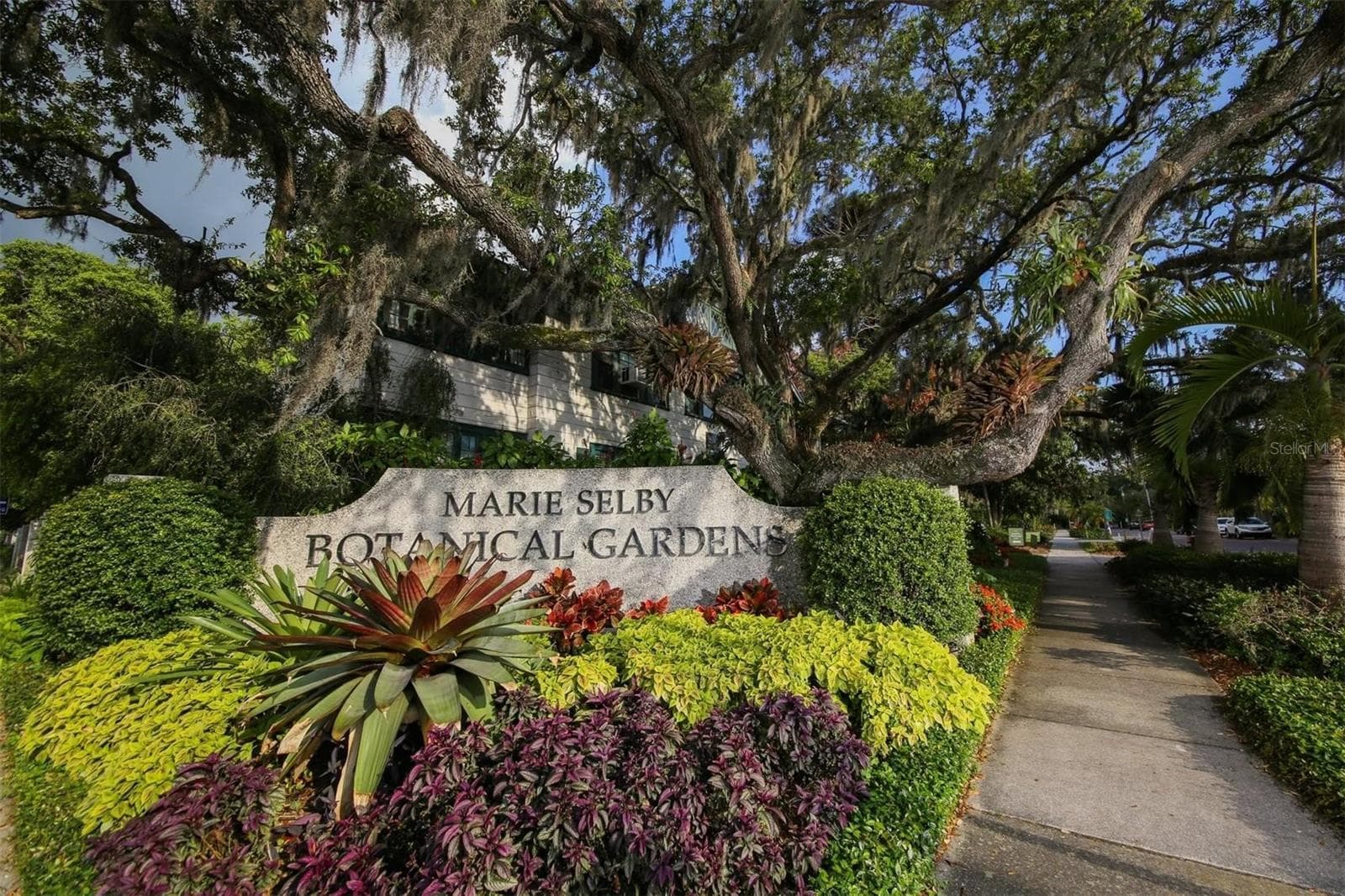 TOP BOTANICAL GARDENS ratings by Time, Wall Street Journal, and Vogue! The Marie Selby Botanical Gardens hosts extravagant events throughout the year! - 1157 WESTWAY DR, SARASOTA