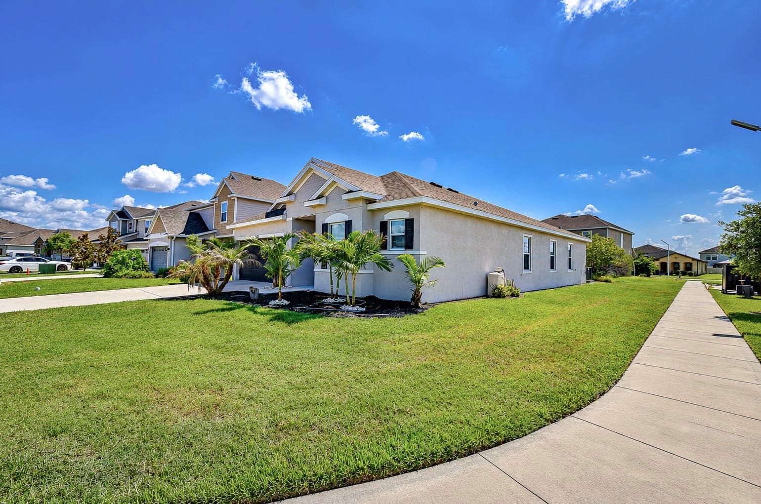 Corner Lot! - 8325 OLIVE BROOK DR, WESLEY CHAPEL