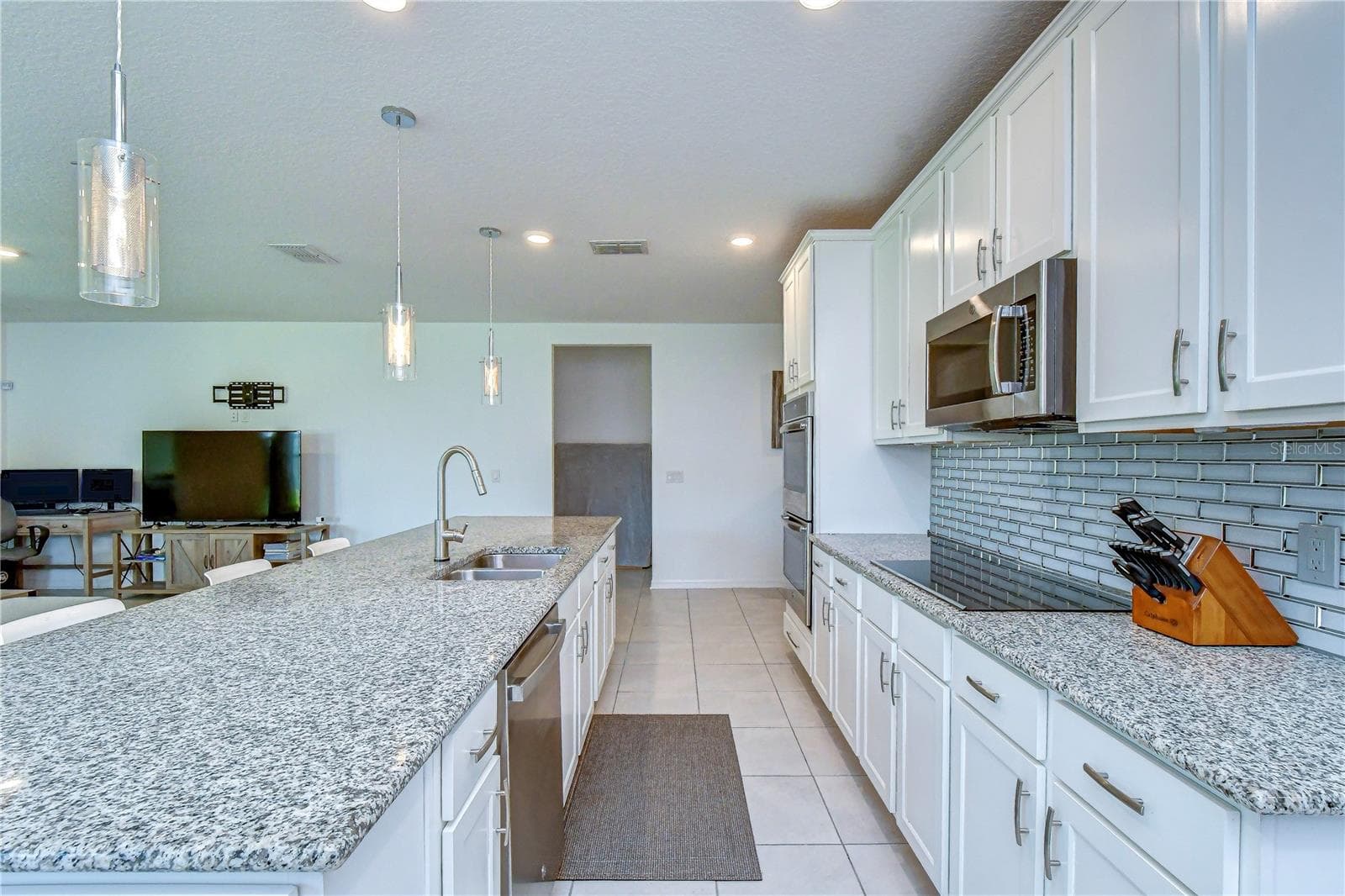Granite countertops and wood cabinets - 8325 OLIVE BROOK DR, WESLEY CHAPEL