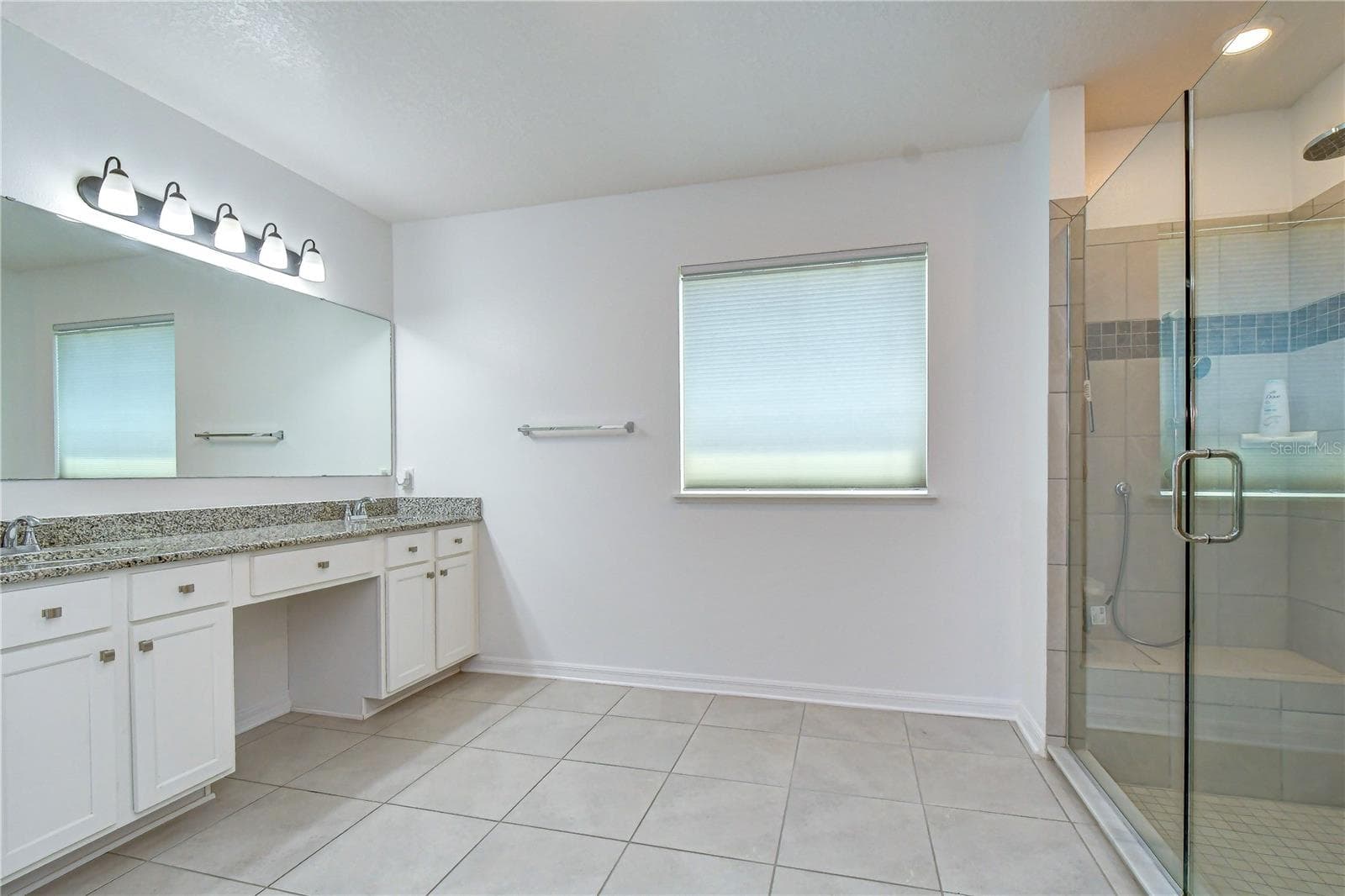 Primary Bathroom with dual vanity and walk-in shower - 8325 OLIVE BROOK DR, WESLEY CHAPEL