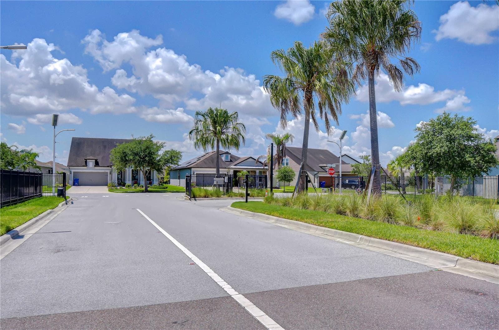 Gated section - 8325 OLIVE BROOK DR, WESLEY CHAPEL