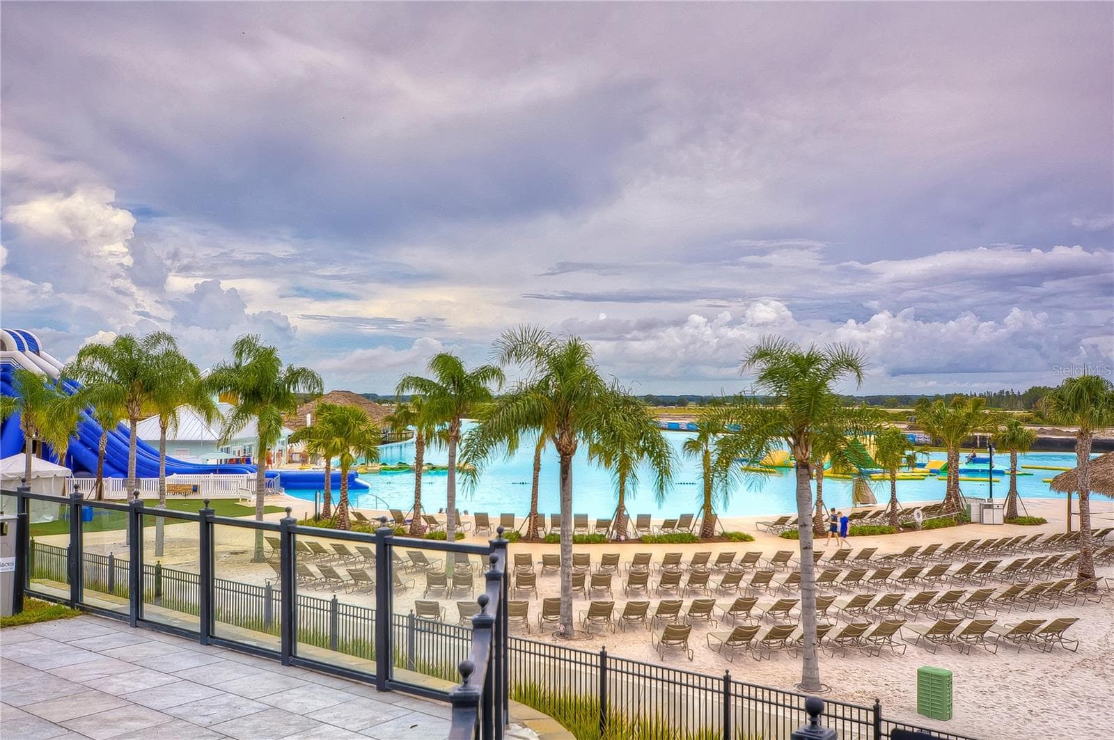 One reason why people move to Florida... - 8325 OLIVE BROOK DR, WESLEY CHAPEL