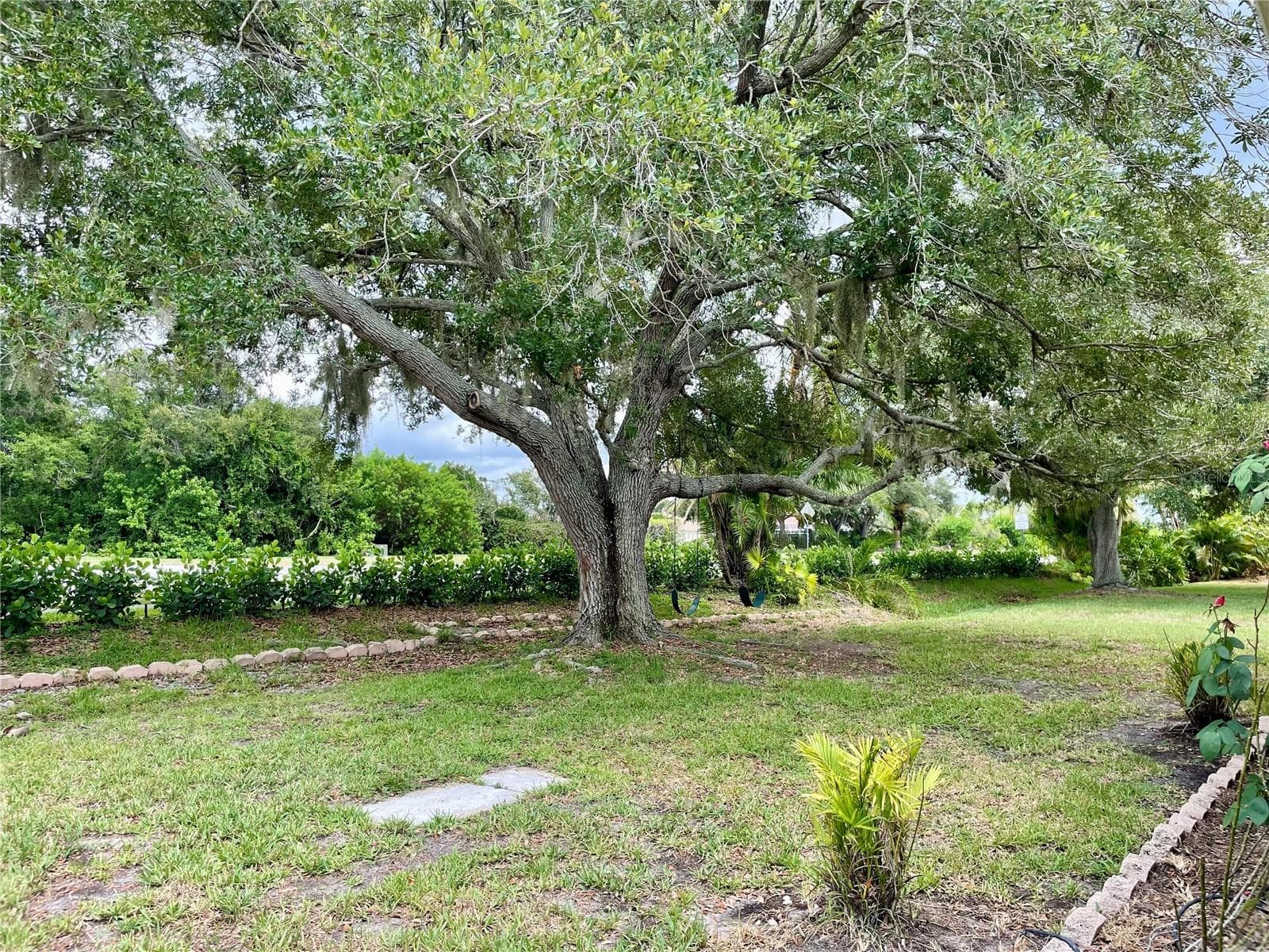 Yard - 6813 WINSLOW ST, SARASOTA