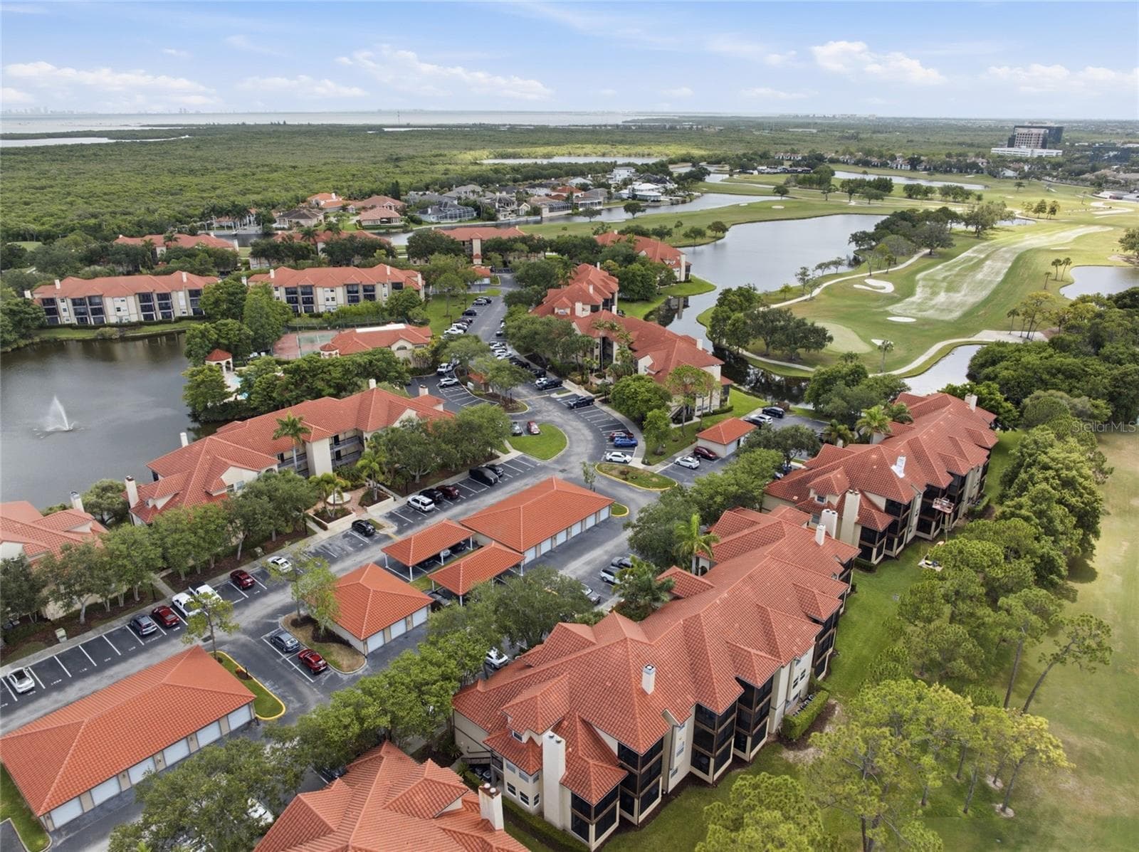 Audubon Condominiums - 2400 FEATHER SOUND DR #313, CLEARWATER