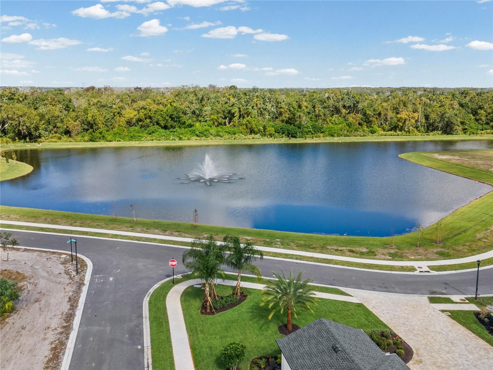 Single Family Residence at 682 BOTTLEBRUSH WAY, TARPON SPRINGS, photo 7 of 11