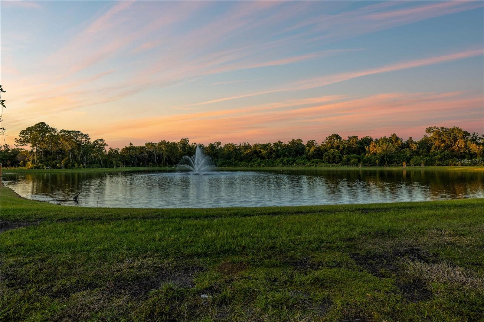 Single Family Residence at 682 BOTTLEBRUSH WAY, TARPON SPRINGS, photo 8 of 11
