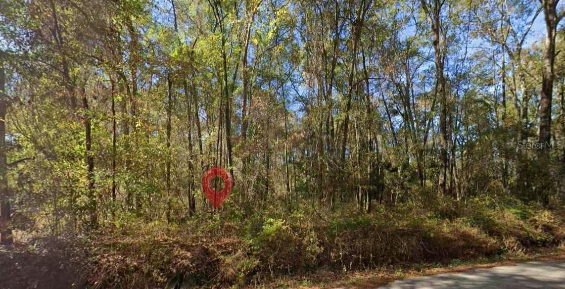IAMONIA LANDING RD