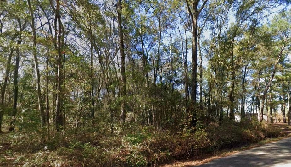 Land at IAMONIA LANDING RD, TALLAHASSEE, photo 2 of 4