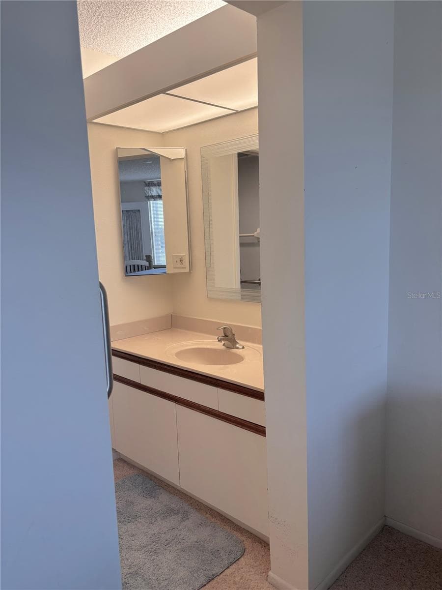 En-Suite Bathroom Sink - 4460 FAIRWAYS BLVD #407, BRADENTON