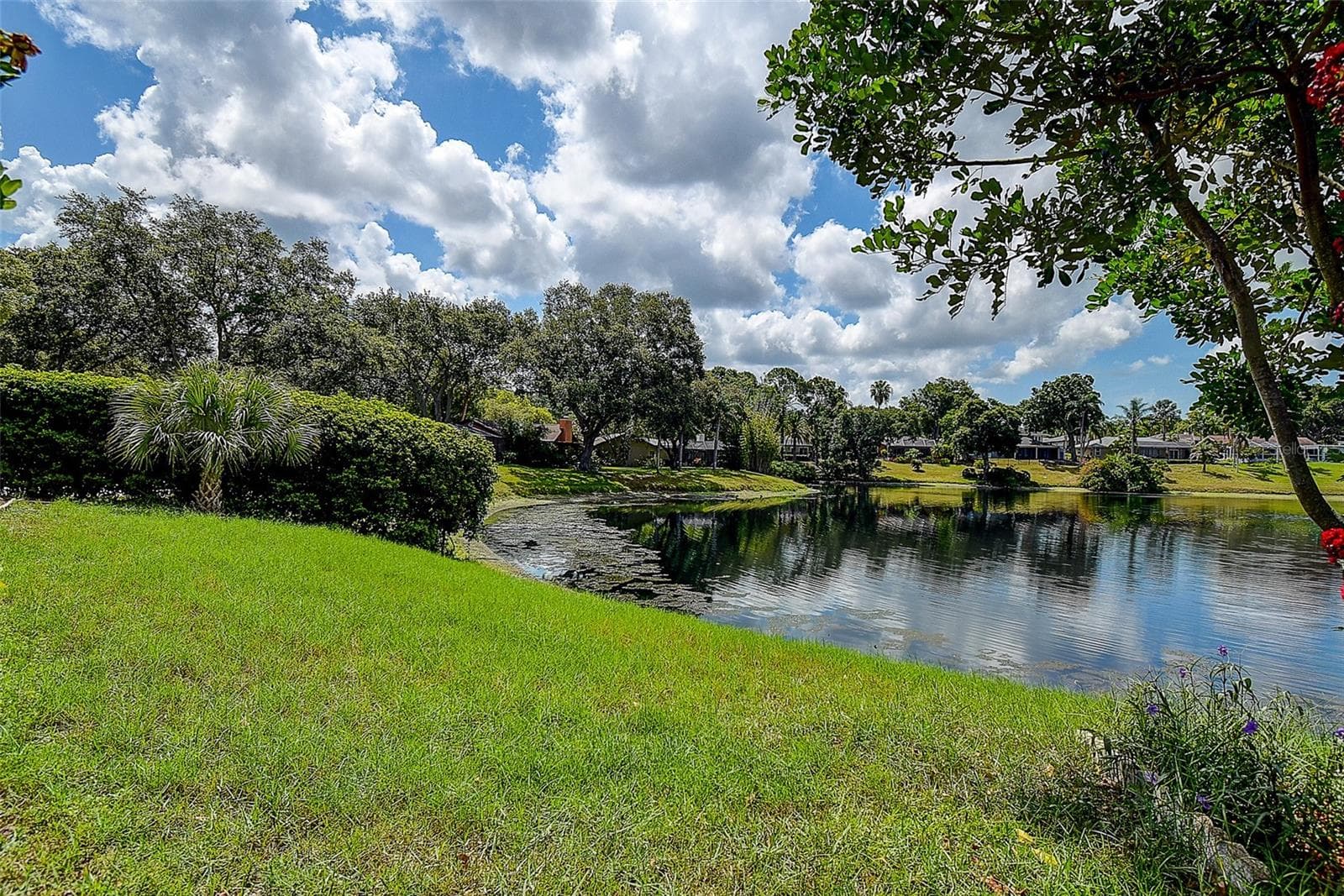 Single Family Residence at 2876 LAKE VALENCIA BLVD E, PALM HARBOR, photo 45 of 51