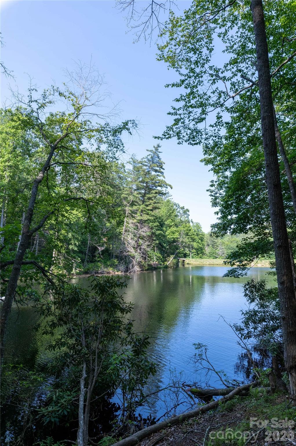 Acreage at 00 Deer Park Lake Road, Spruce Pine, photo 2 of 24