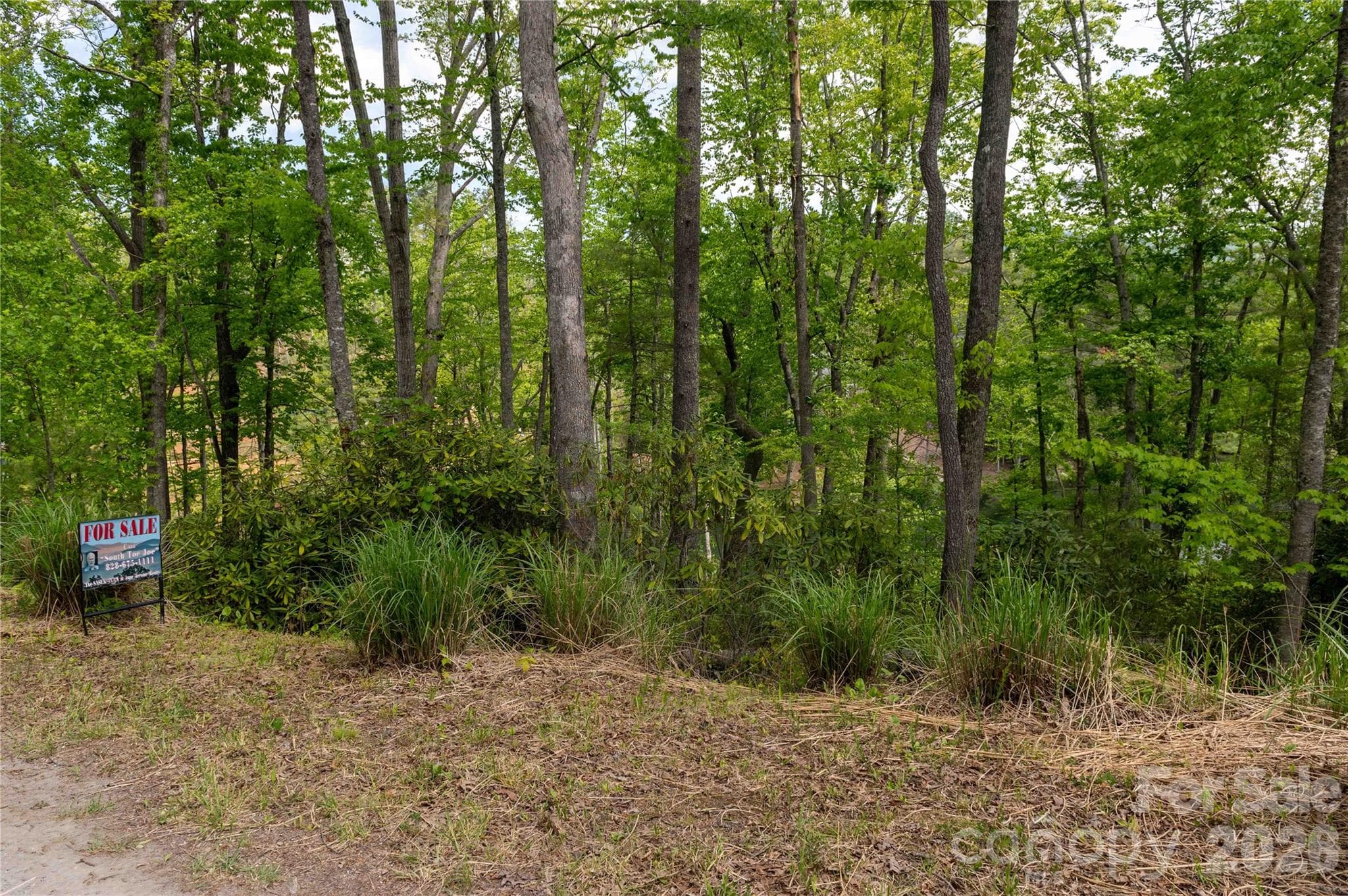 Acreage at 00 Deer Park Lake Road, Spruce Pine, photo 3 of 24