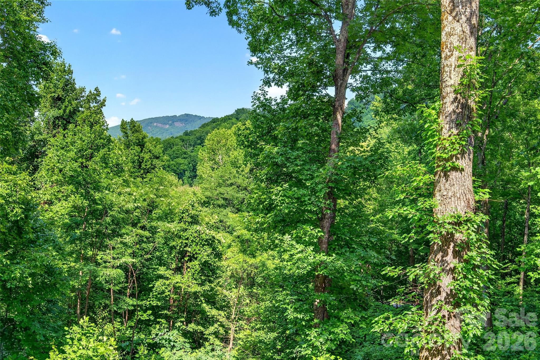 Hickory Nut Mountain views in the distance. - 771 Sally Gap Road, Old Fort