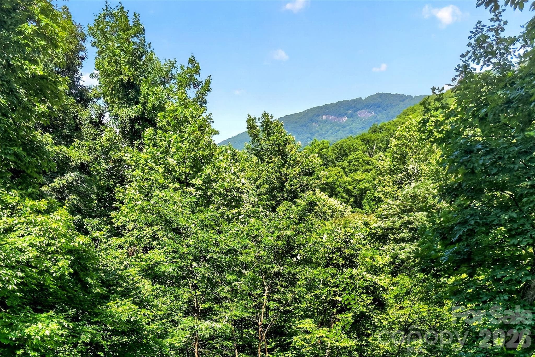 Another view of Hickory Nut. - 771 Sally Gap Road, Old Fort