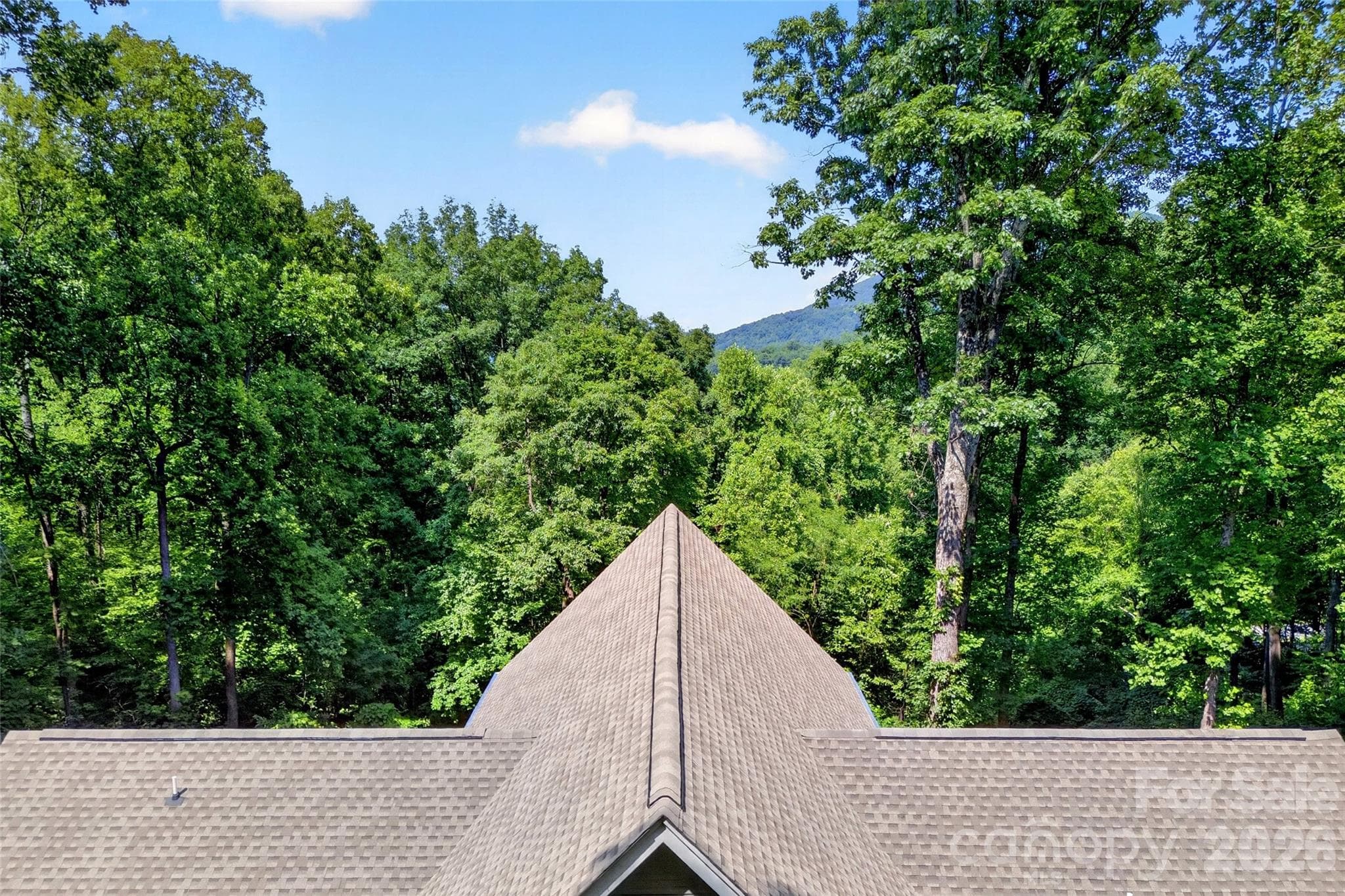Mountain views of Hickory Nut which is part of a conservancy. - 771 Sally Gap Road, Old Fort